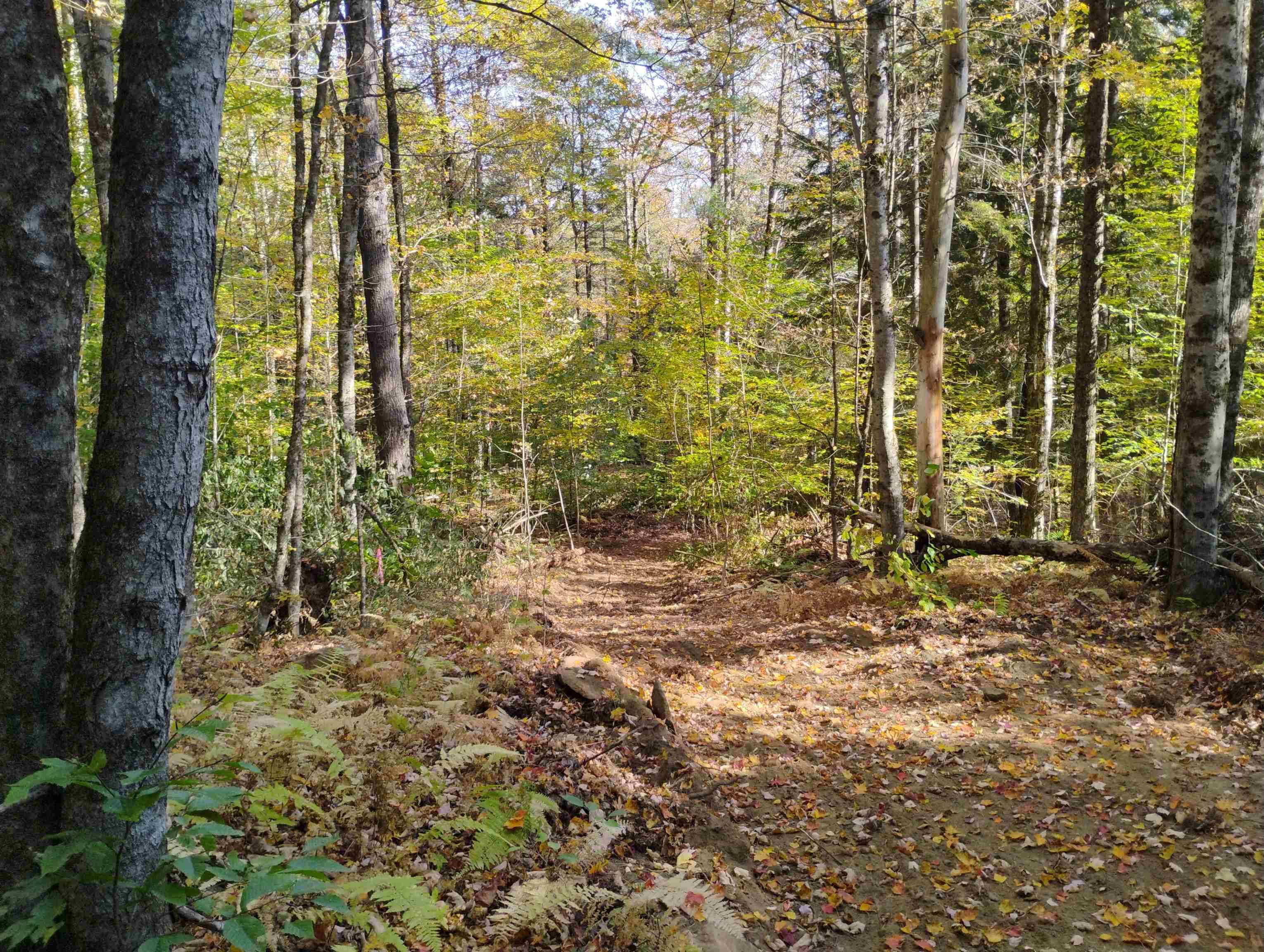 Townshend, VT 05353,1506 Windham Hill RD