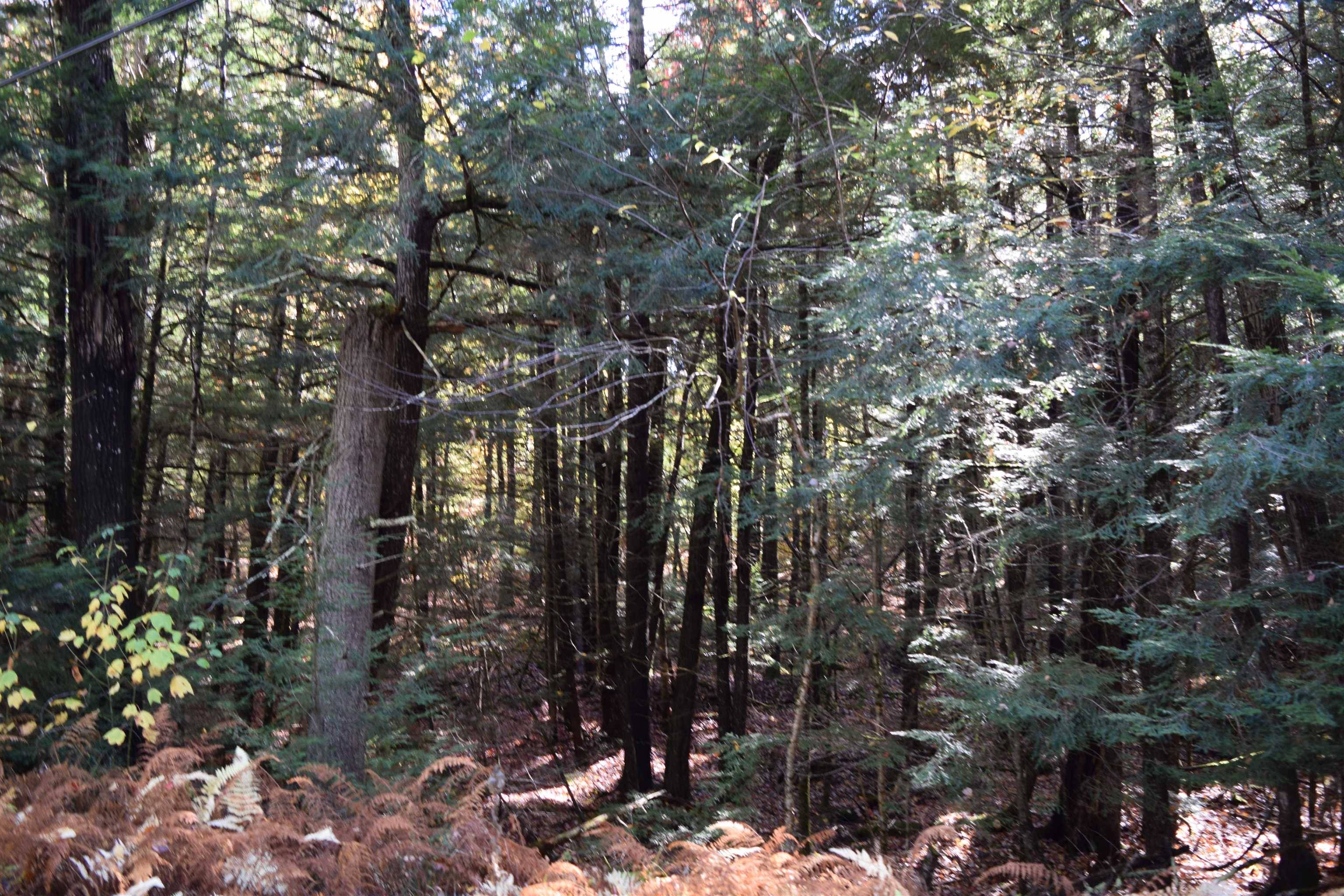 Haverhill, NH 03765,Lot 185 Hanover DR #185