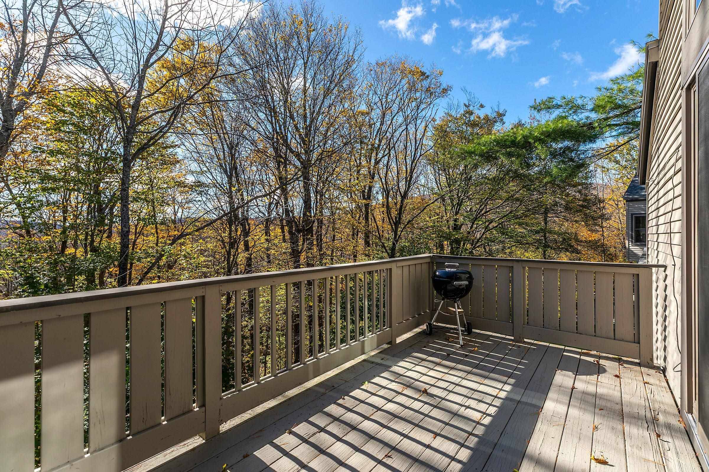 Winhall, VT 05340,32 Cobble Ridge RD #D10