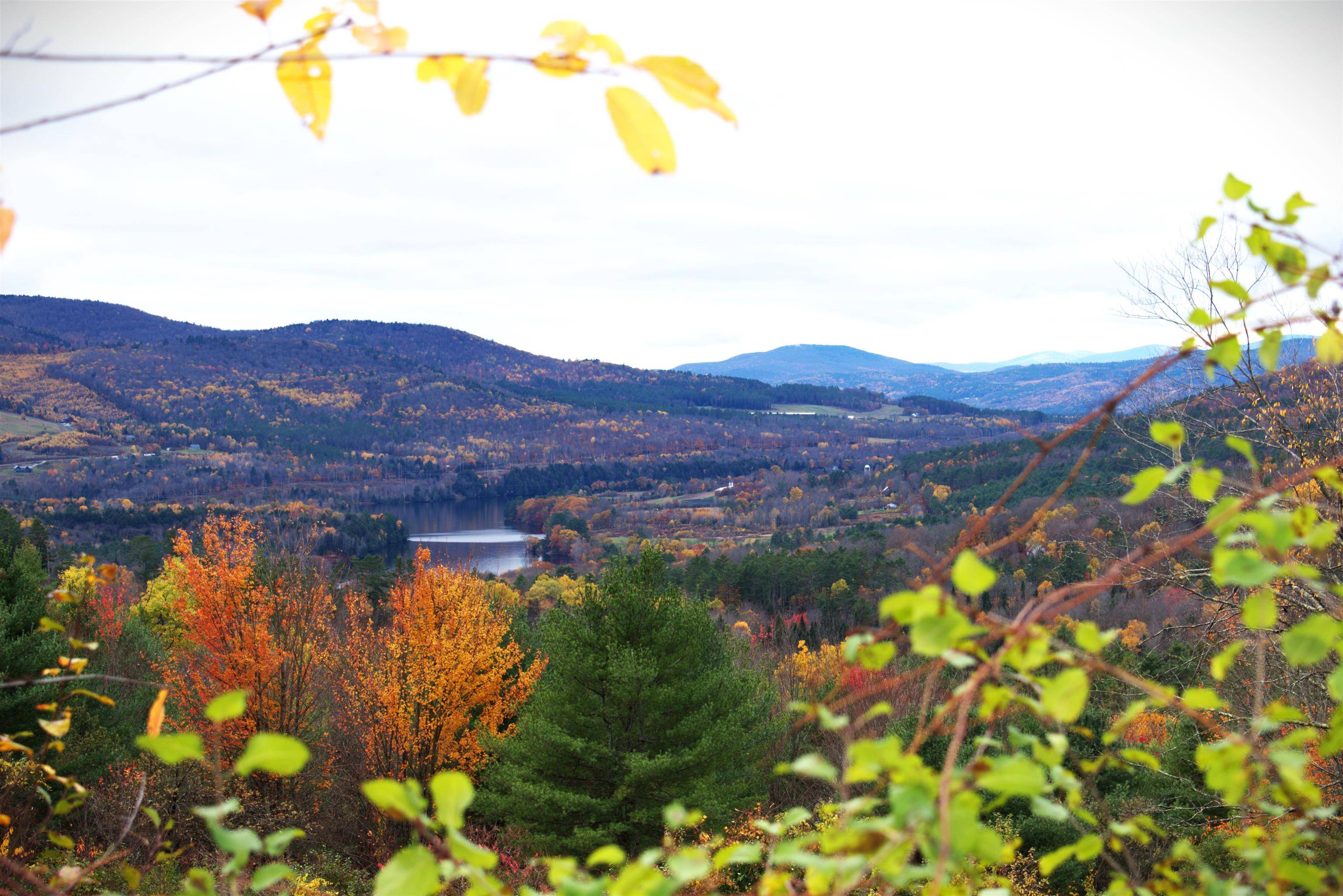 Waterford, VT 05848,00 Old County South RD