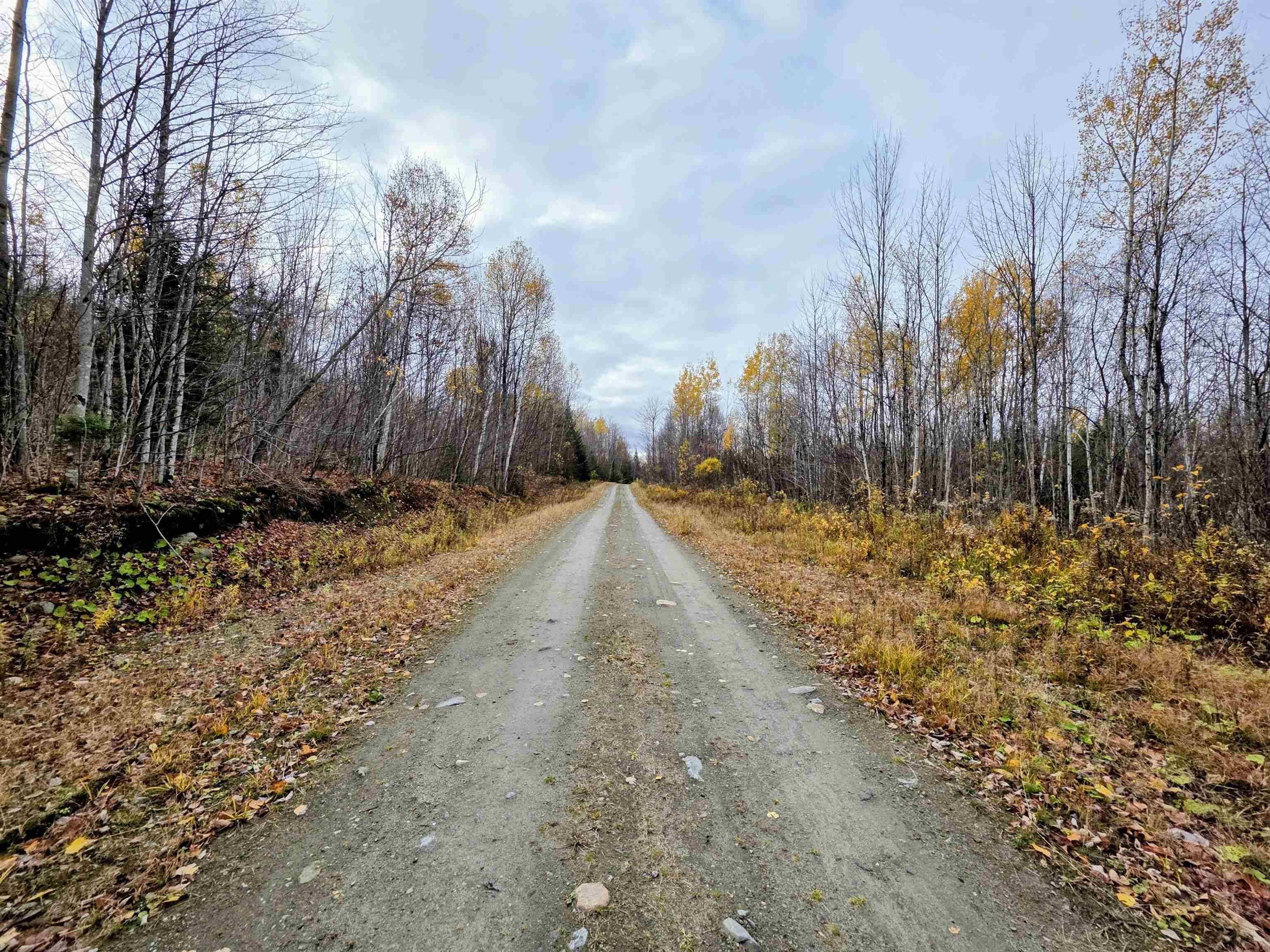 Columbia, NH 03576,Washburn RD #Map 405 Lot 13