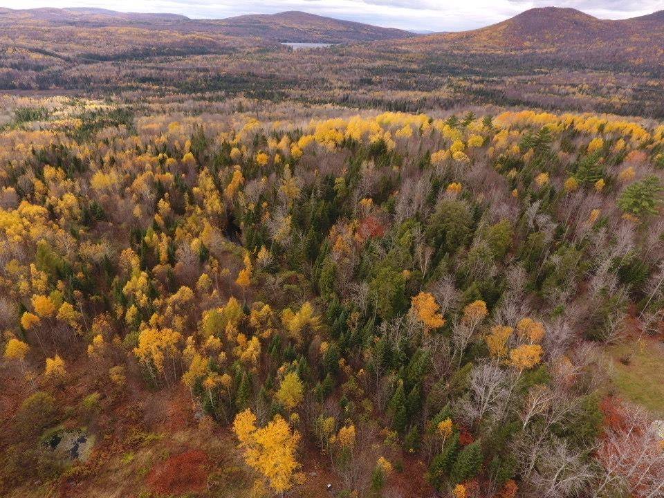 Concord, VT 05824,Oregon RD