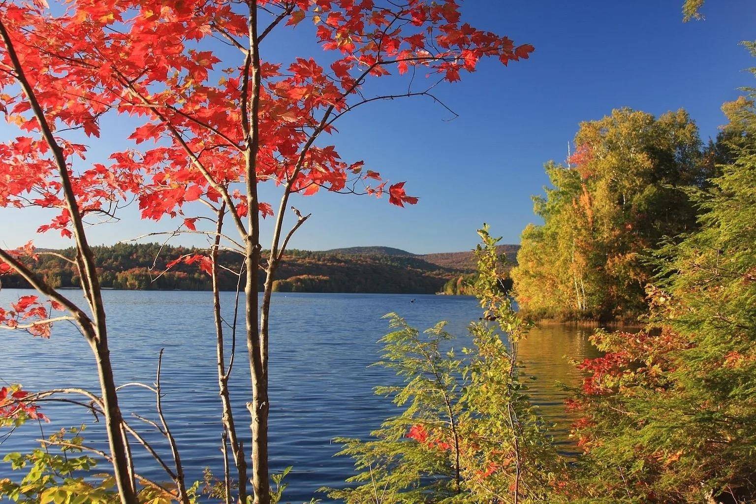 Grantham, NH 03753,38 Terrace VW