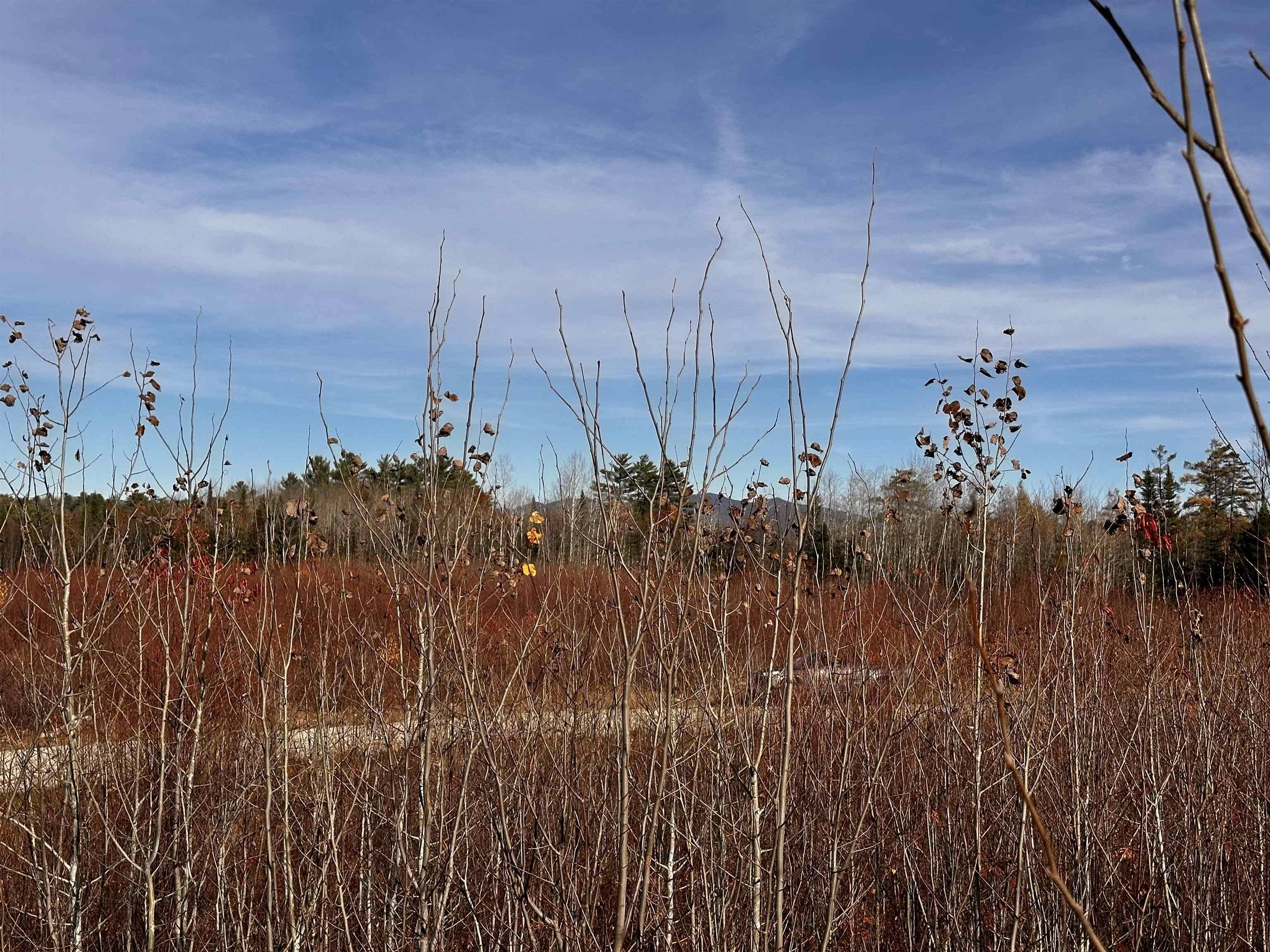 TBD McIntyre RD #7 Dalton, NH 03598