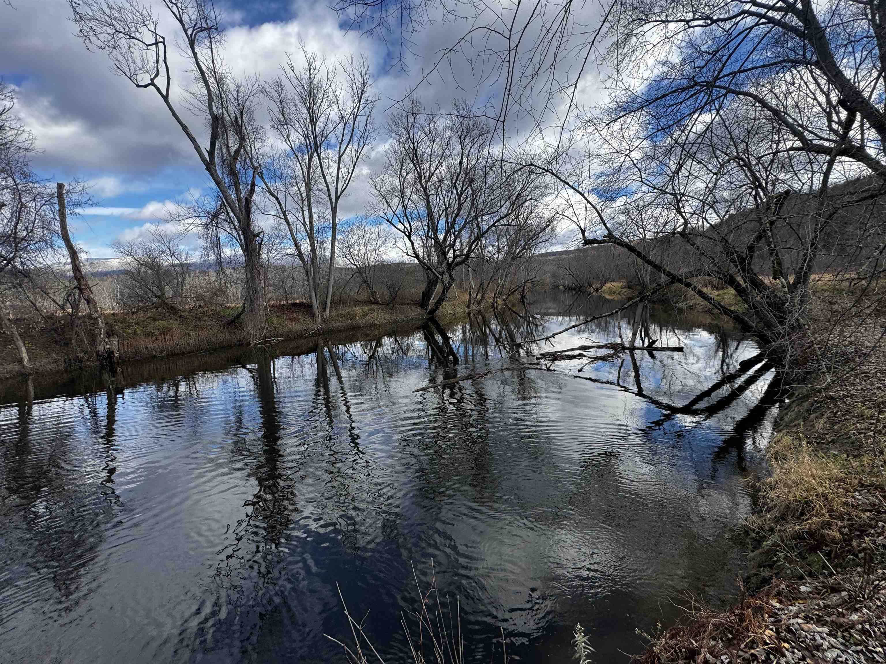 Pittsford, VT 05763,452 Syndicate RD