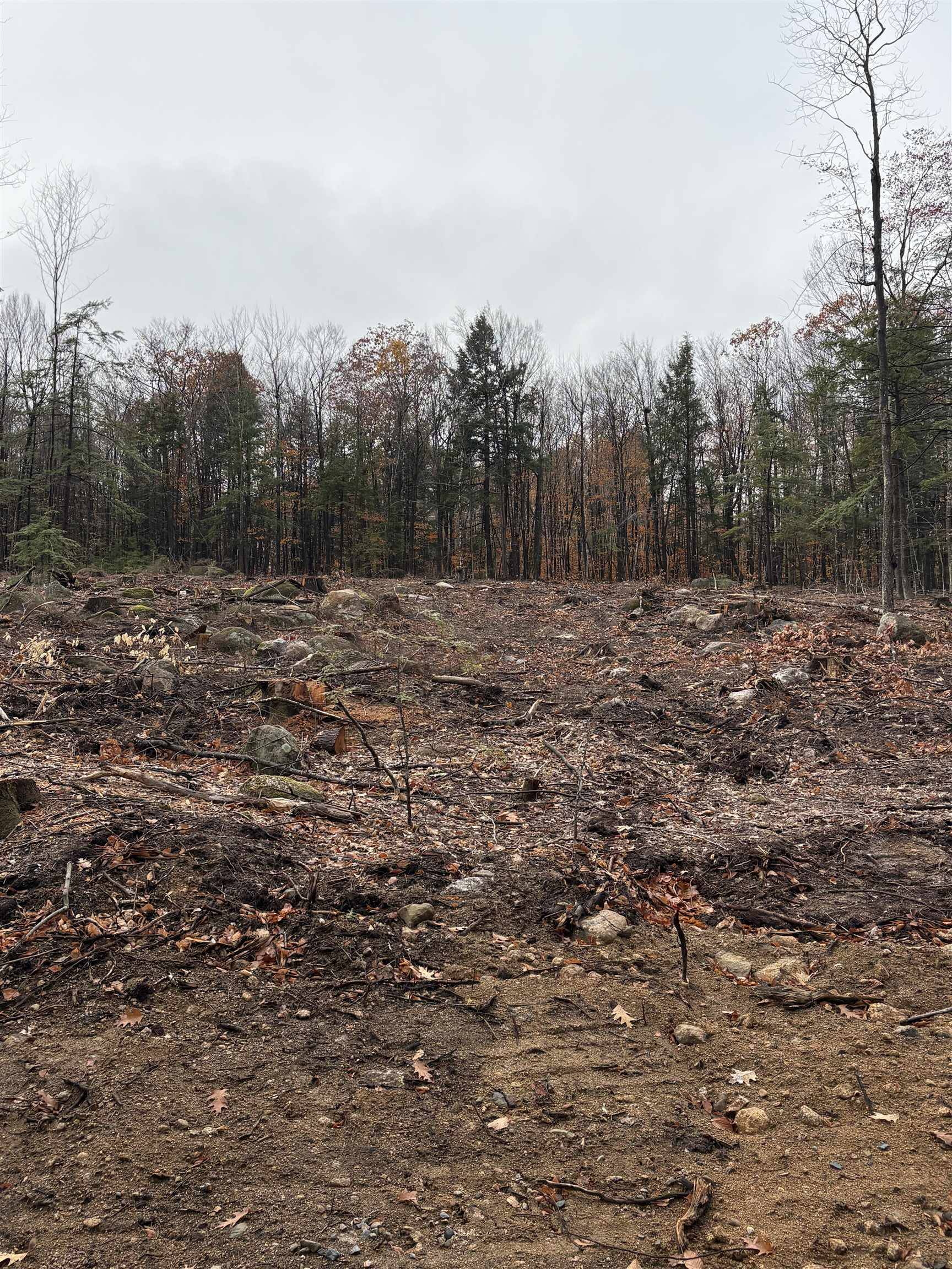 Ossipee, NH 03814,8 Sugarloaf DR #12