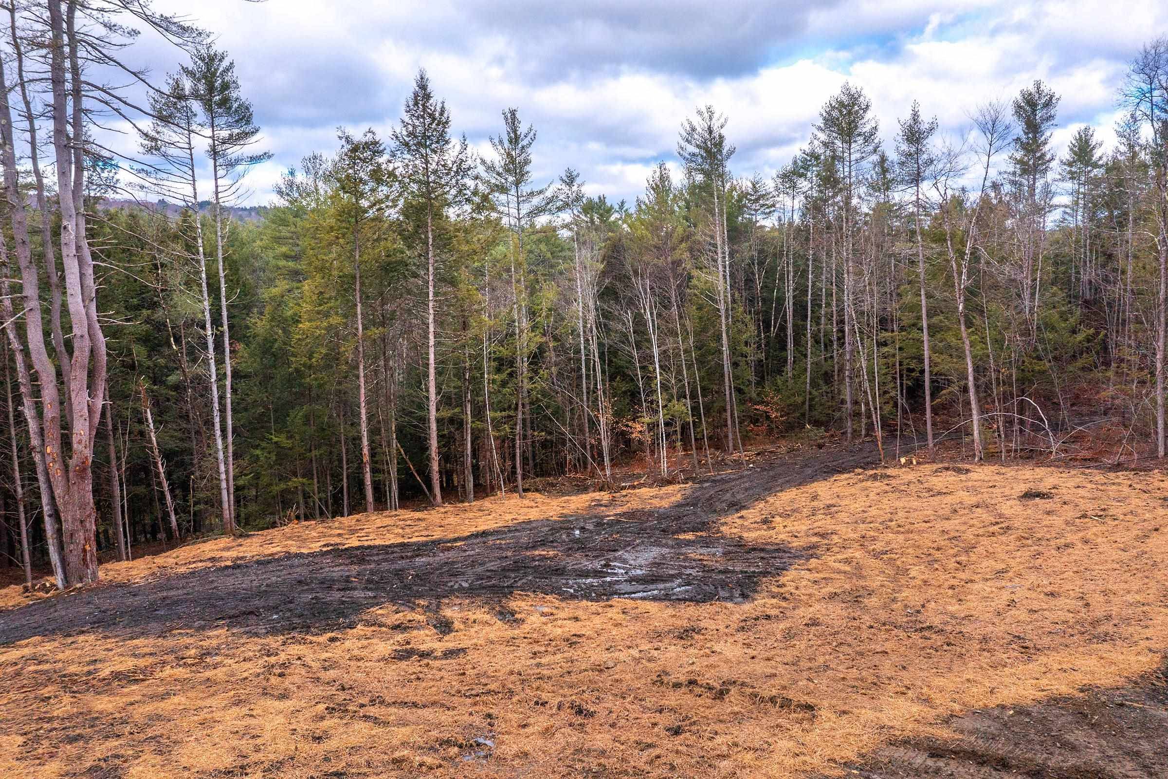 40 E Putney Brook RD Putney, VT 05346