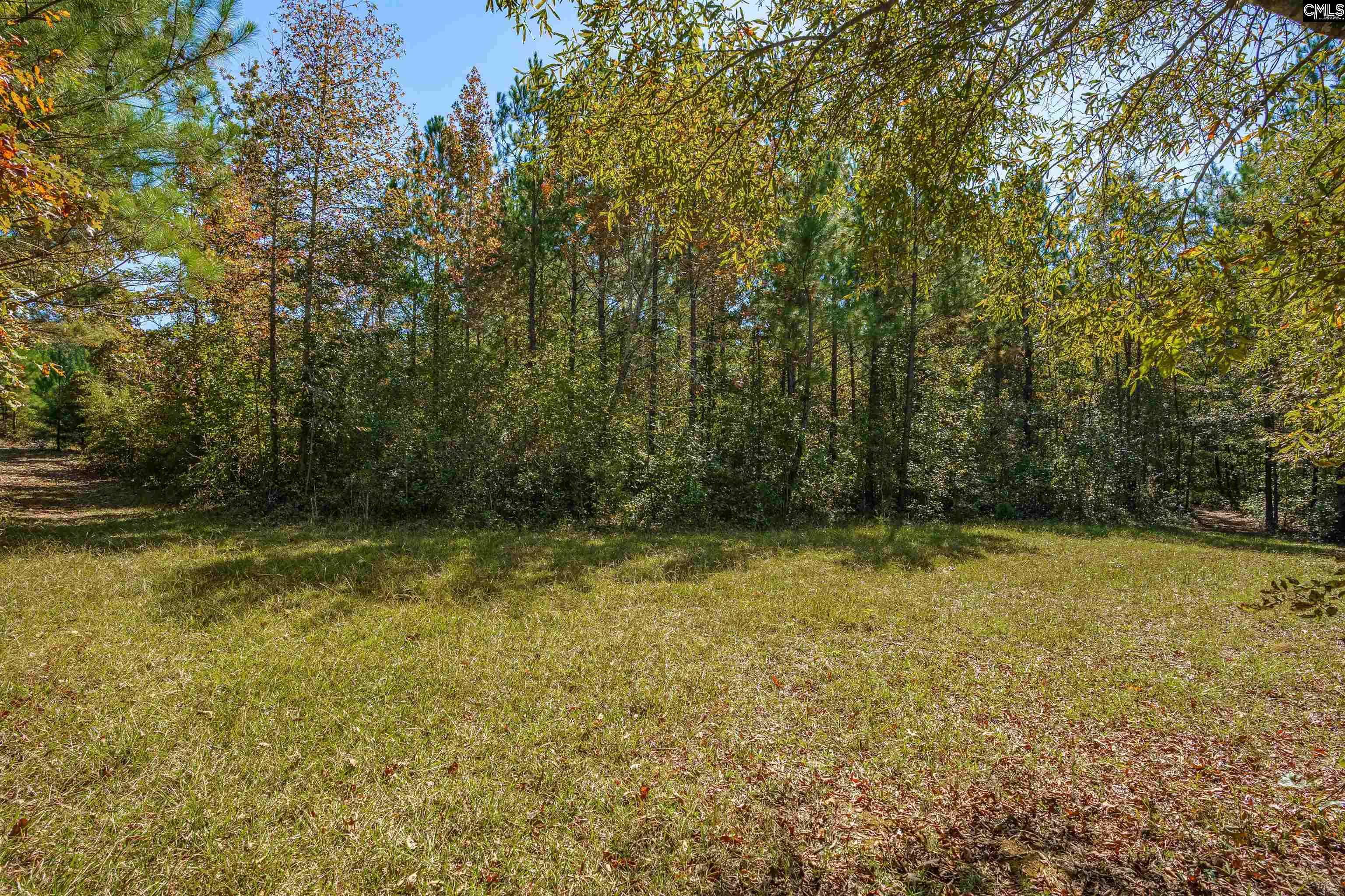 Blythewood, SC 29016,1335 Fulmer Road