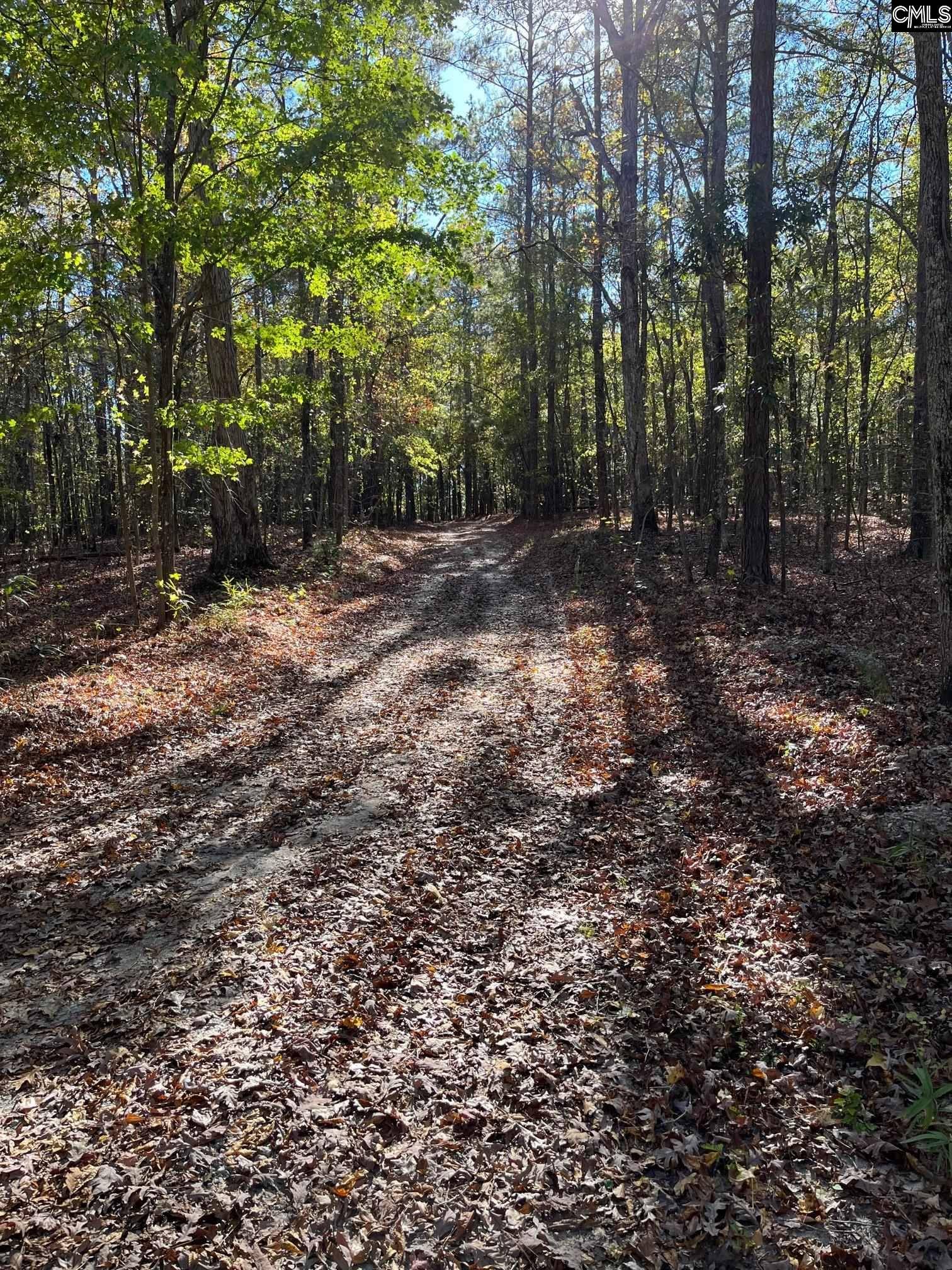 Blythewood, SC 29016,142 Monteith Road