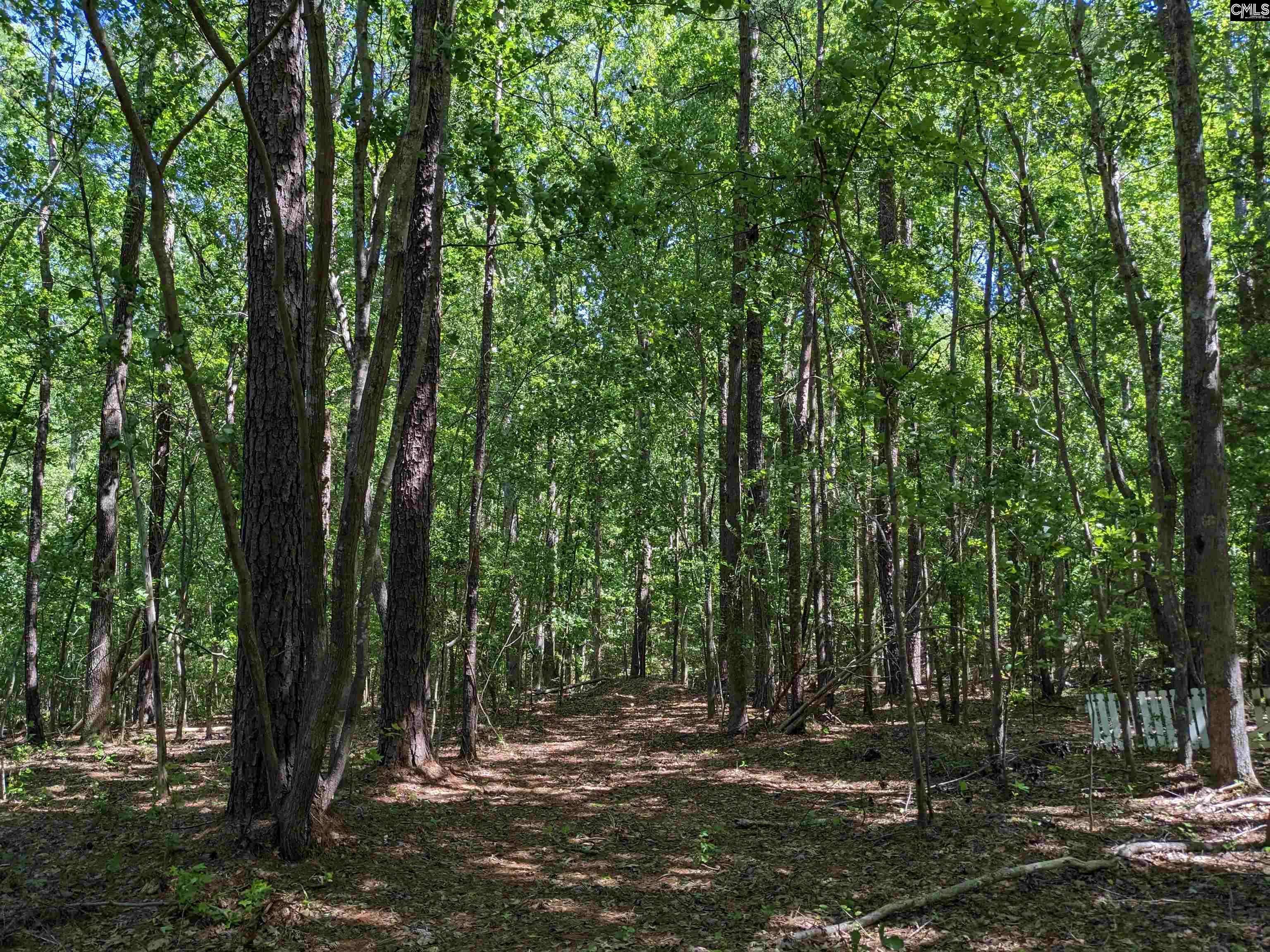 Blythewood, SC 29016,0 Minger Road