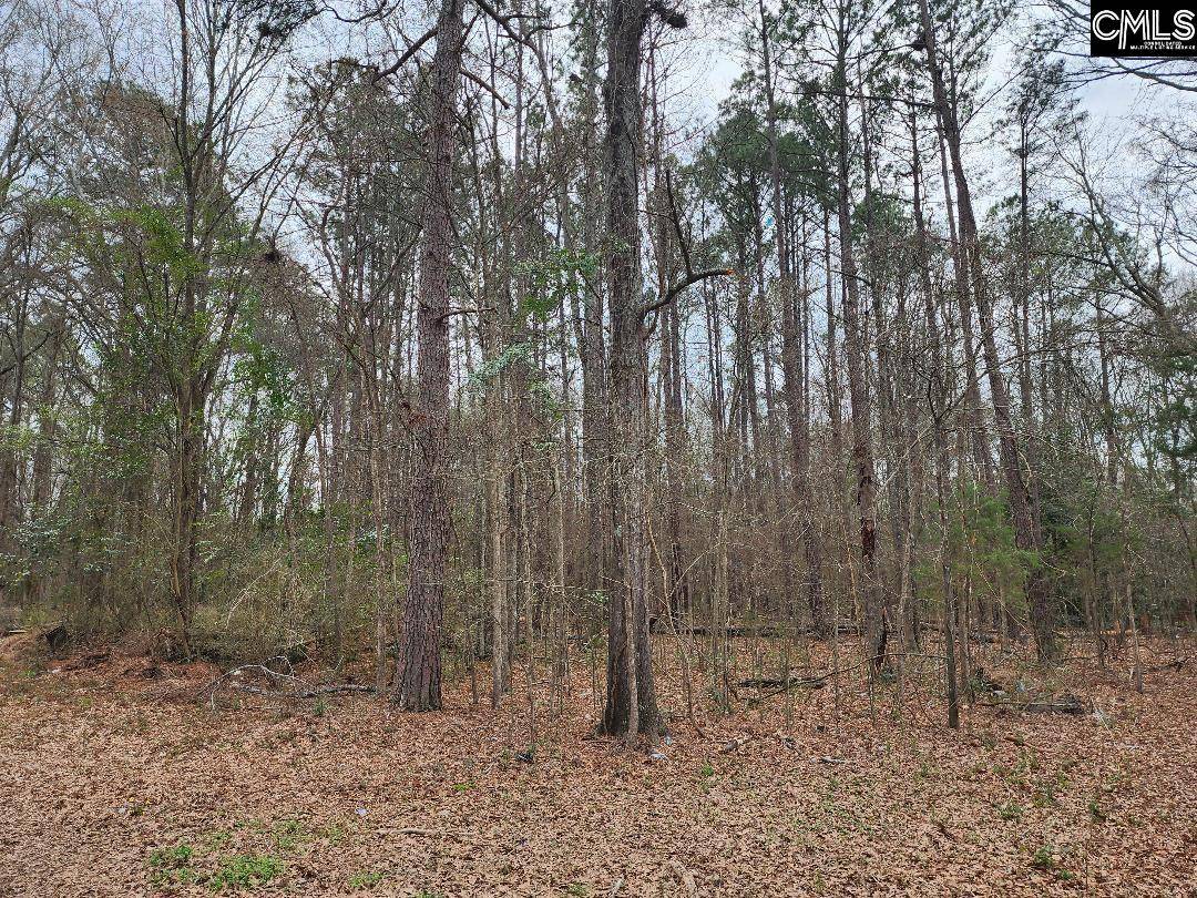 Newberry, SC 29108-0000,W on Giff Street