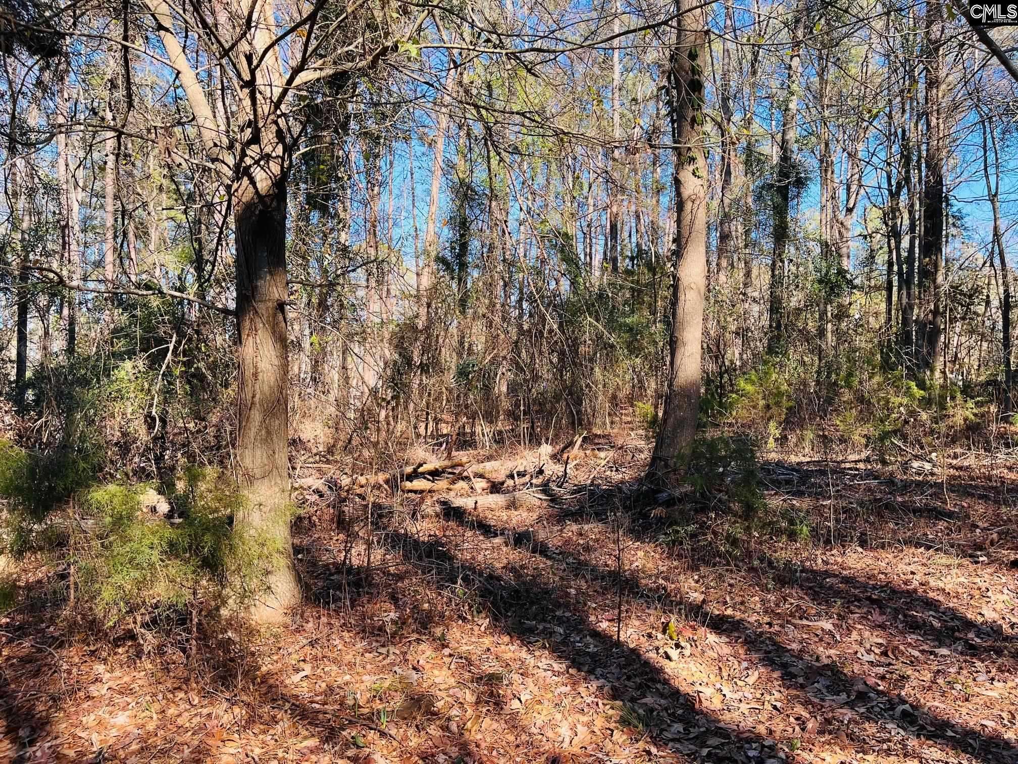 Leesville, SC 29072,Aiken Street #286