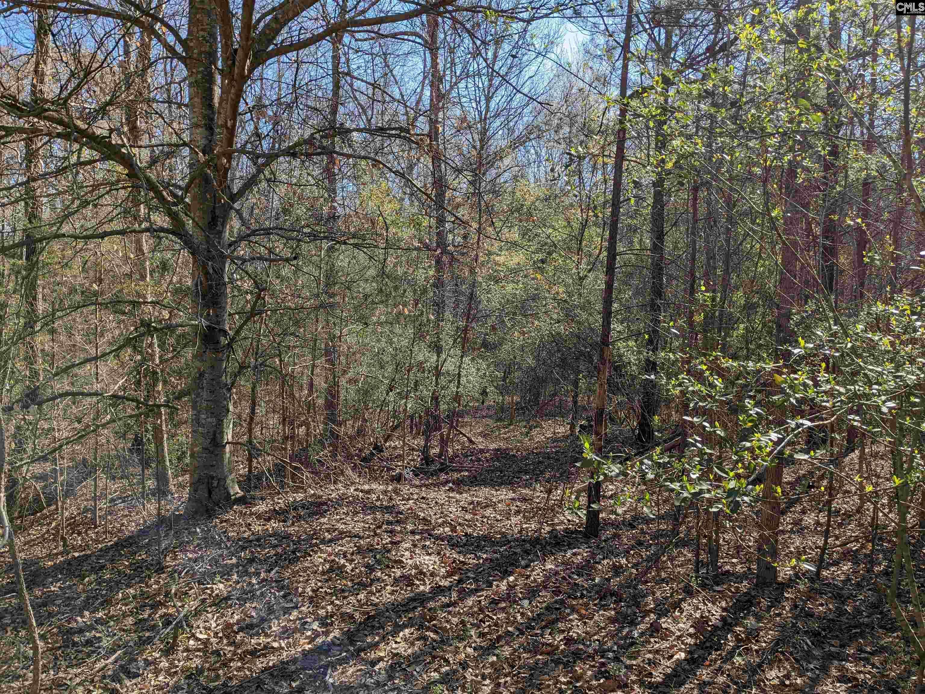 Newberry, SC 29108,Springhill Drive