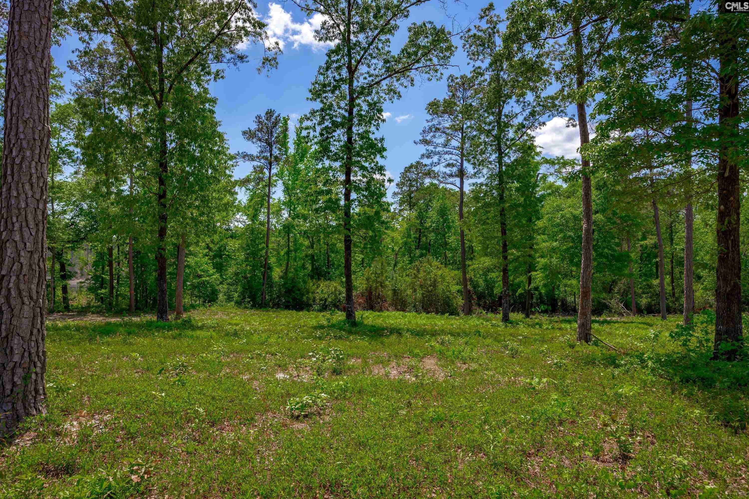 Rembert, SC 29128,1626-05 Sumter Highway #Lot 5