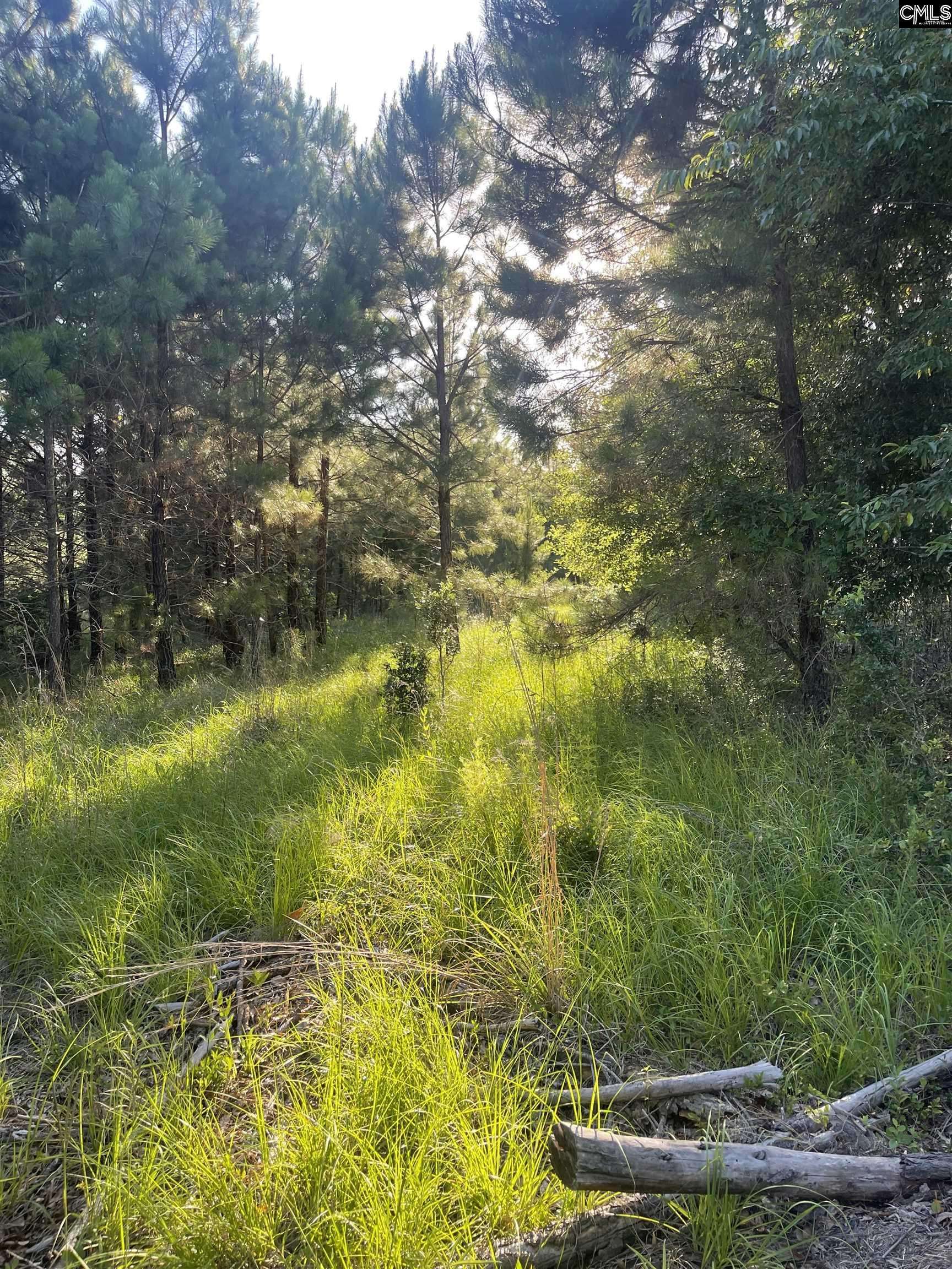 Eastover, SC 29044,N/S Garners Ferry Road