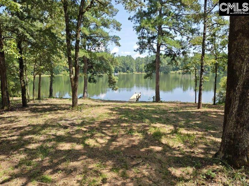 Wagener, SC 29164,833 Edisto Lake Road