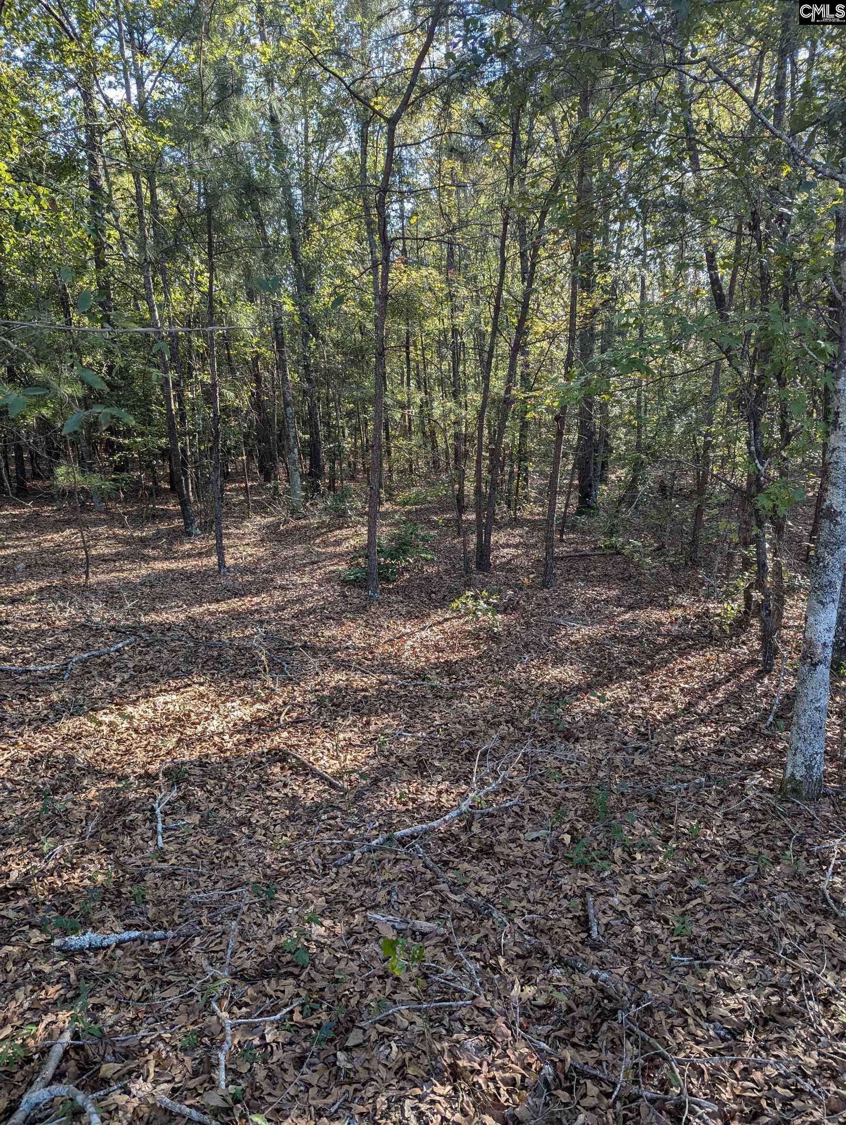 Kershaw, SC 29067,69 Fletcher Drive