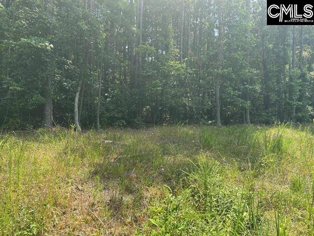 Chappells, SC 29037,156 Doc Holloway Drive
