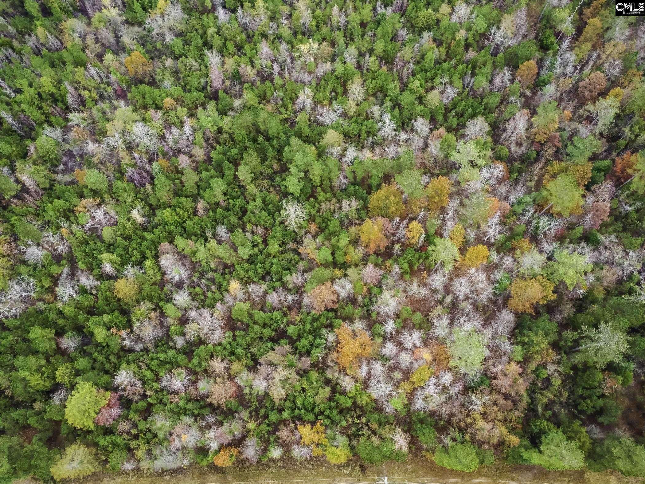Leesville, SC 29070,00A Rock n Creek Road