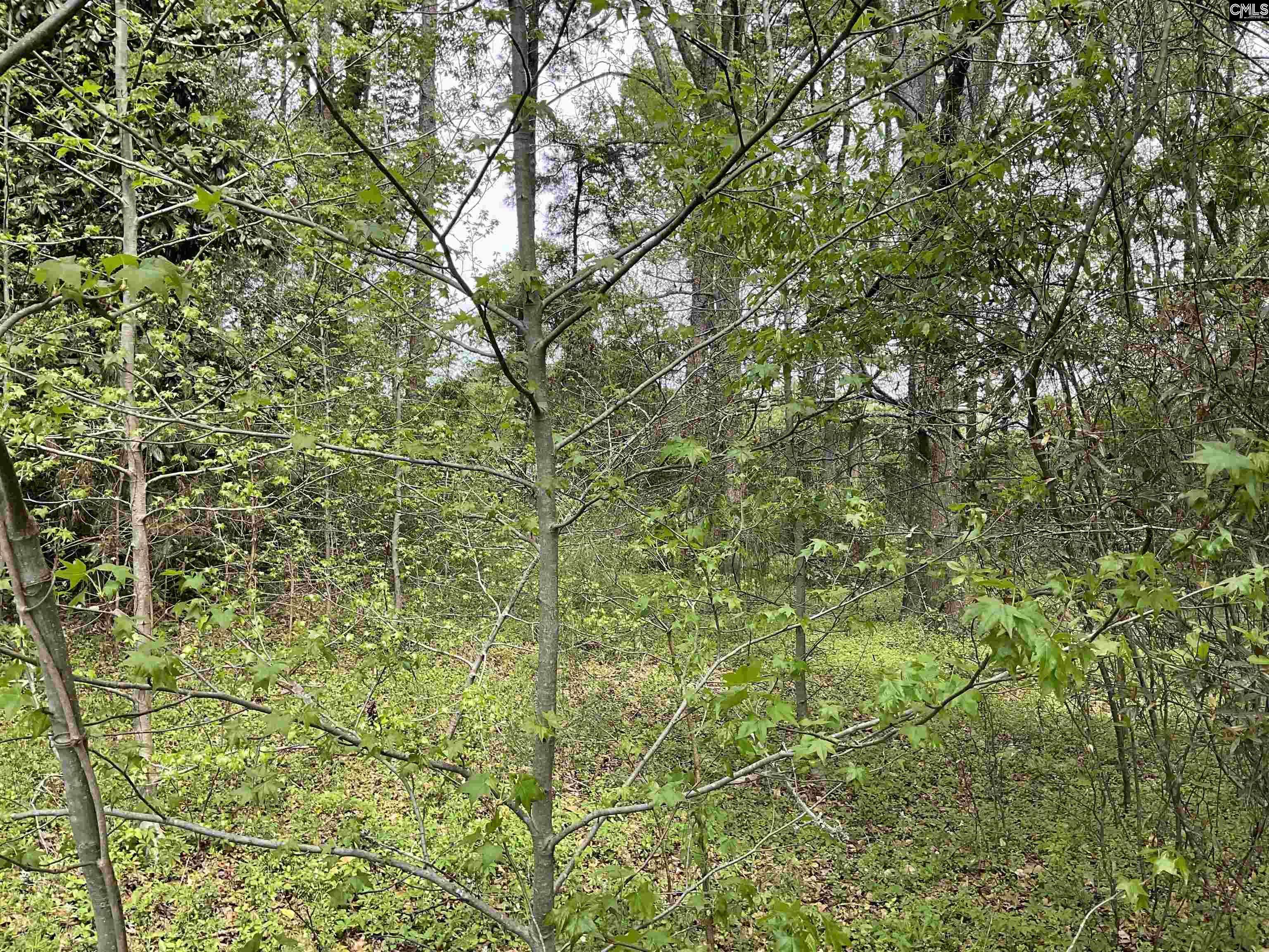 Denmark, SC 29042,Voorhees Road
