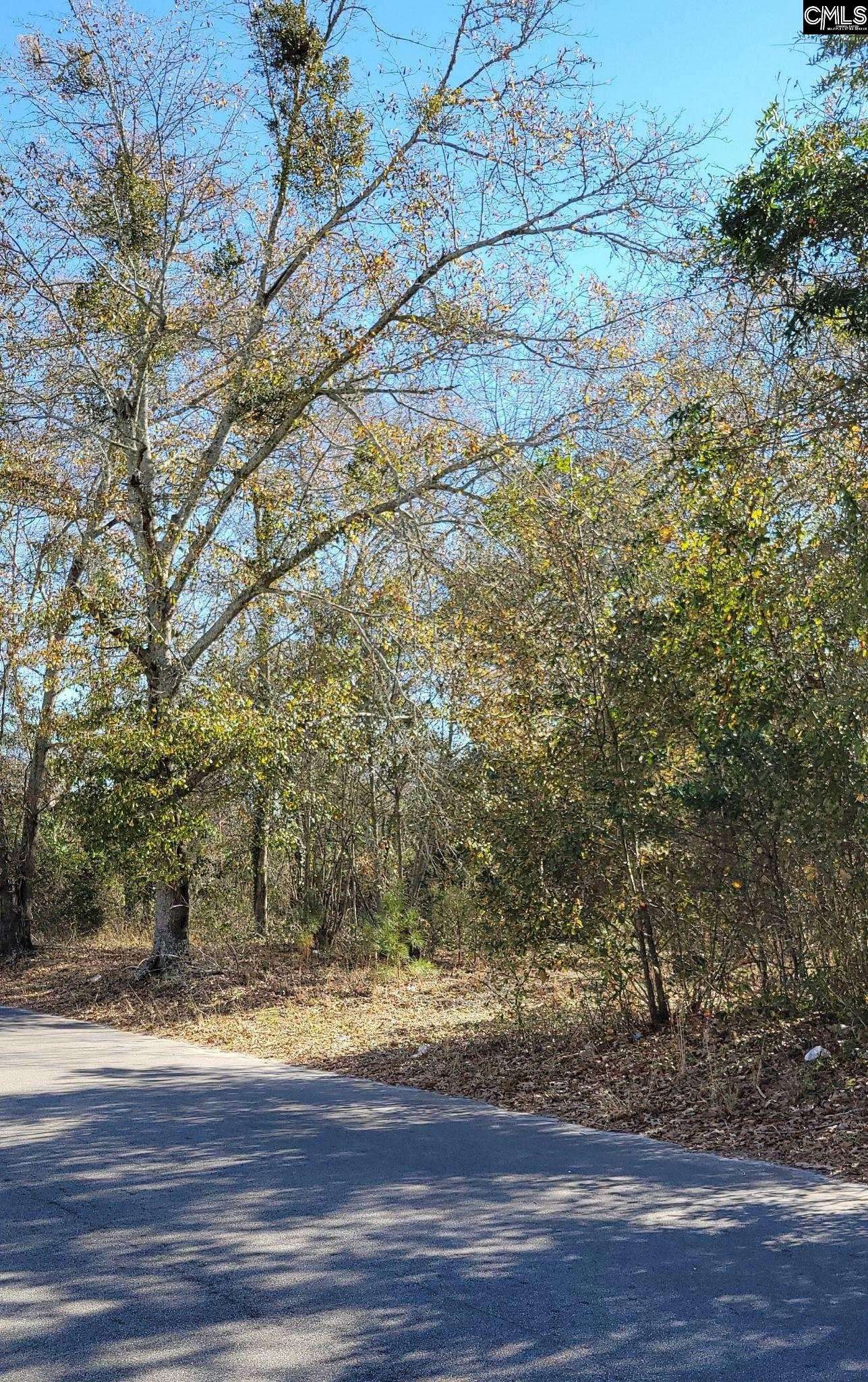 Denmark, SC 29042-1694,0 W Barnwell Highway Highway W
