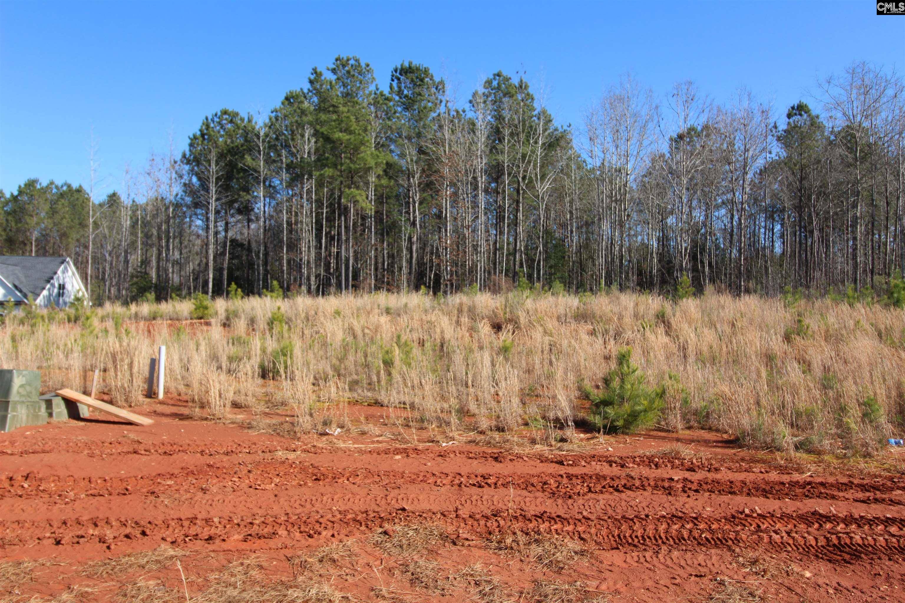Leesville, SC 29070,Clouds Creek Road