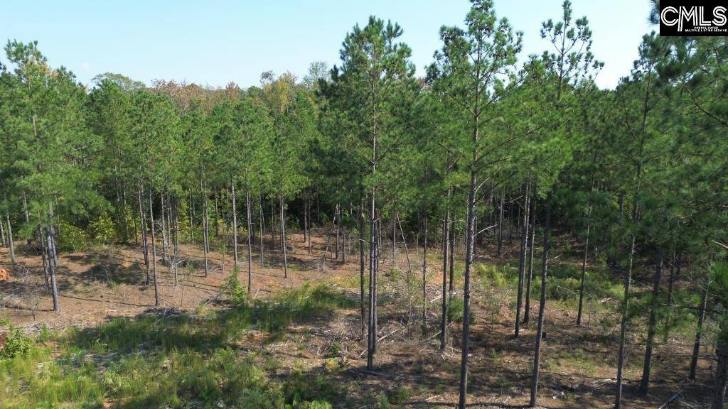 Abbeville, SC 29620,Flat Rock Road