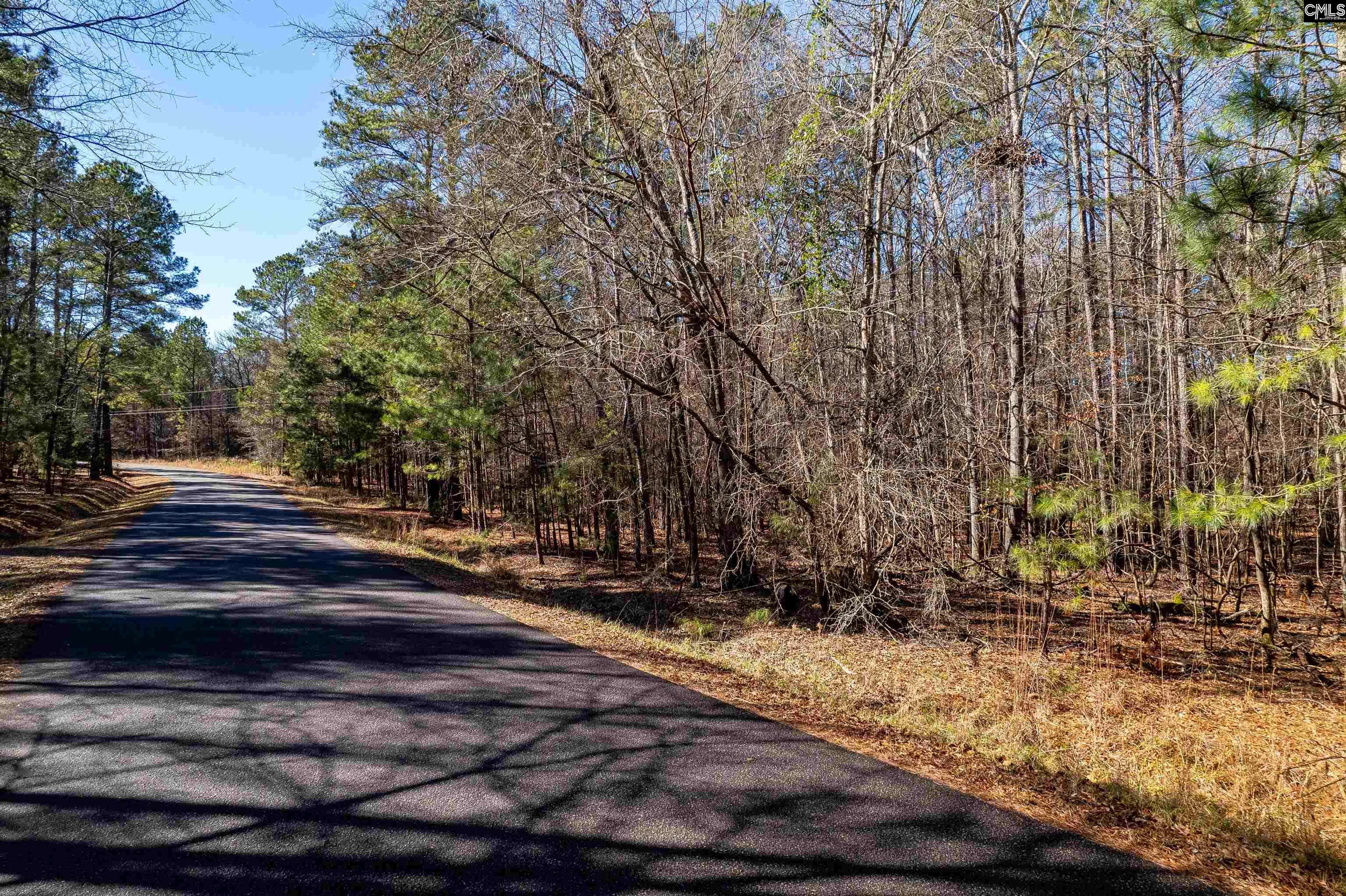 Batesburg, SC 29006,1105 Scooter Bridge Road #Lot 091