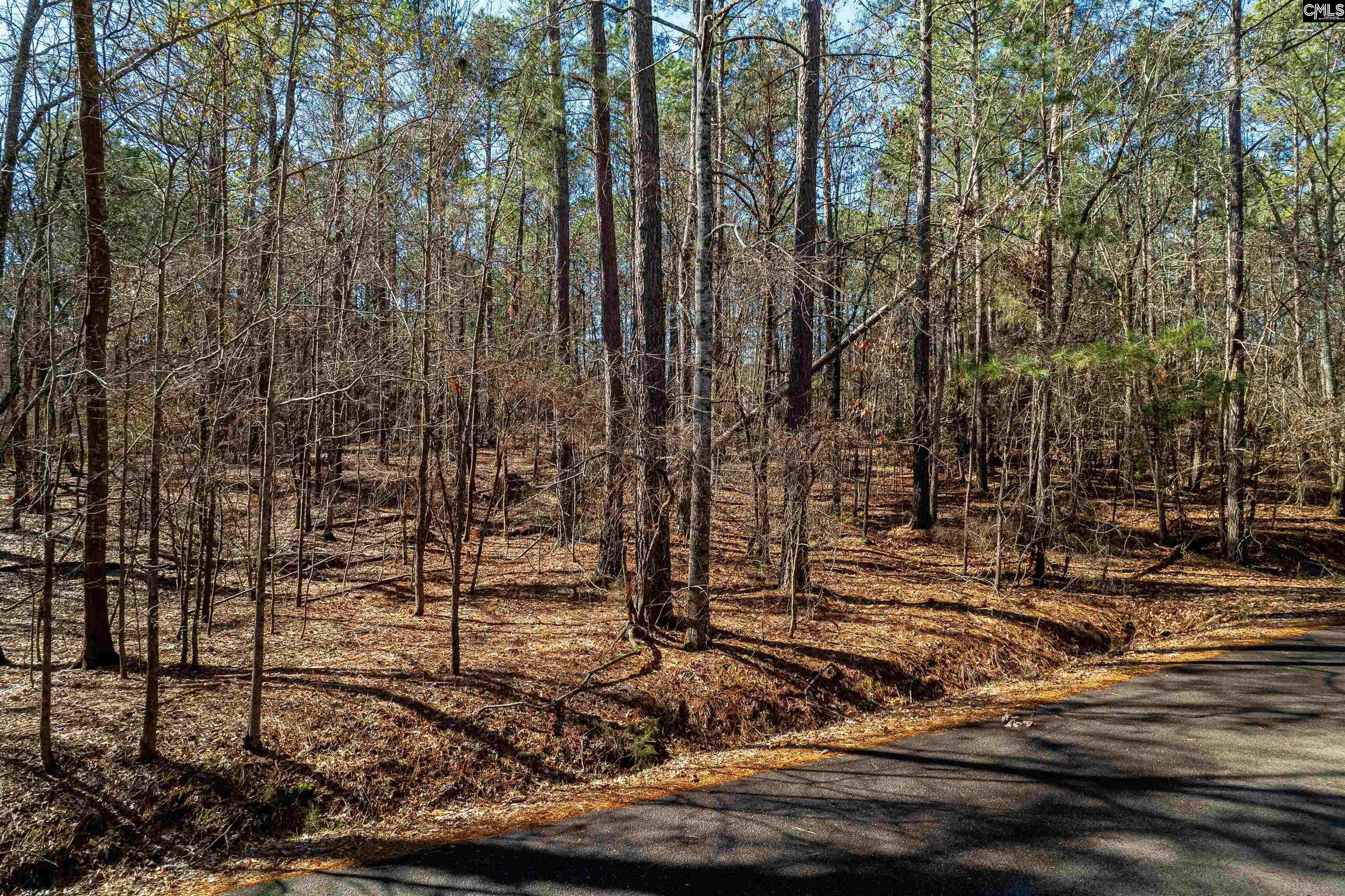 Batesburg, SC 29006,Little Saluda Lane #Lot 089