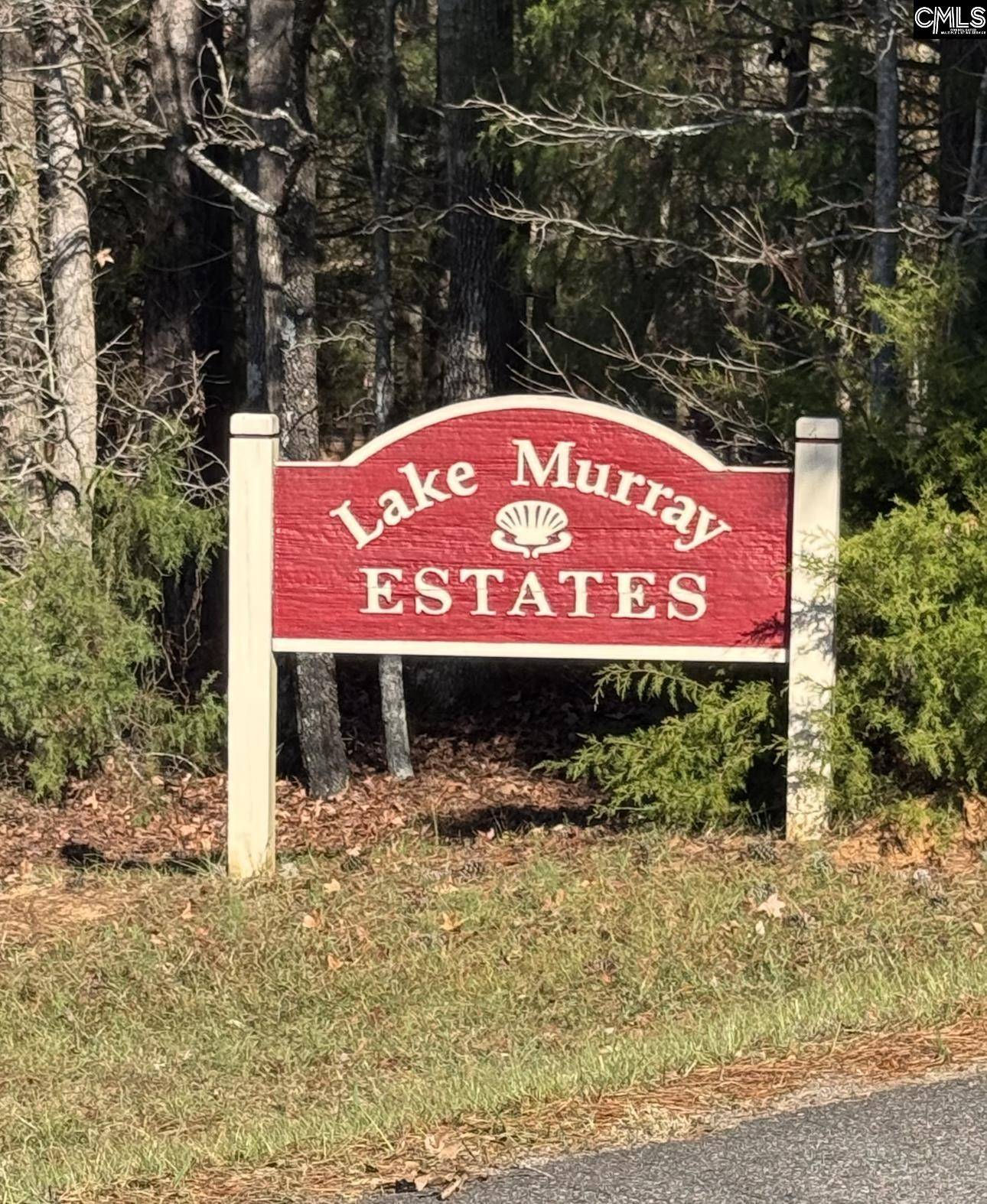 Batesburg, SC 29006,1115 Scooter Bridge Road #Lot 090