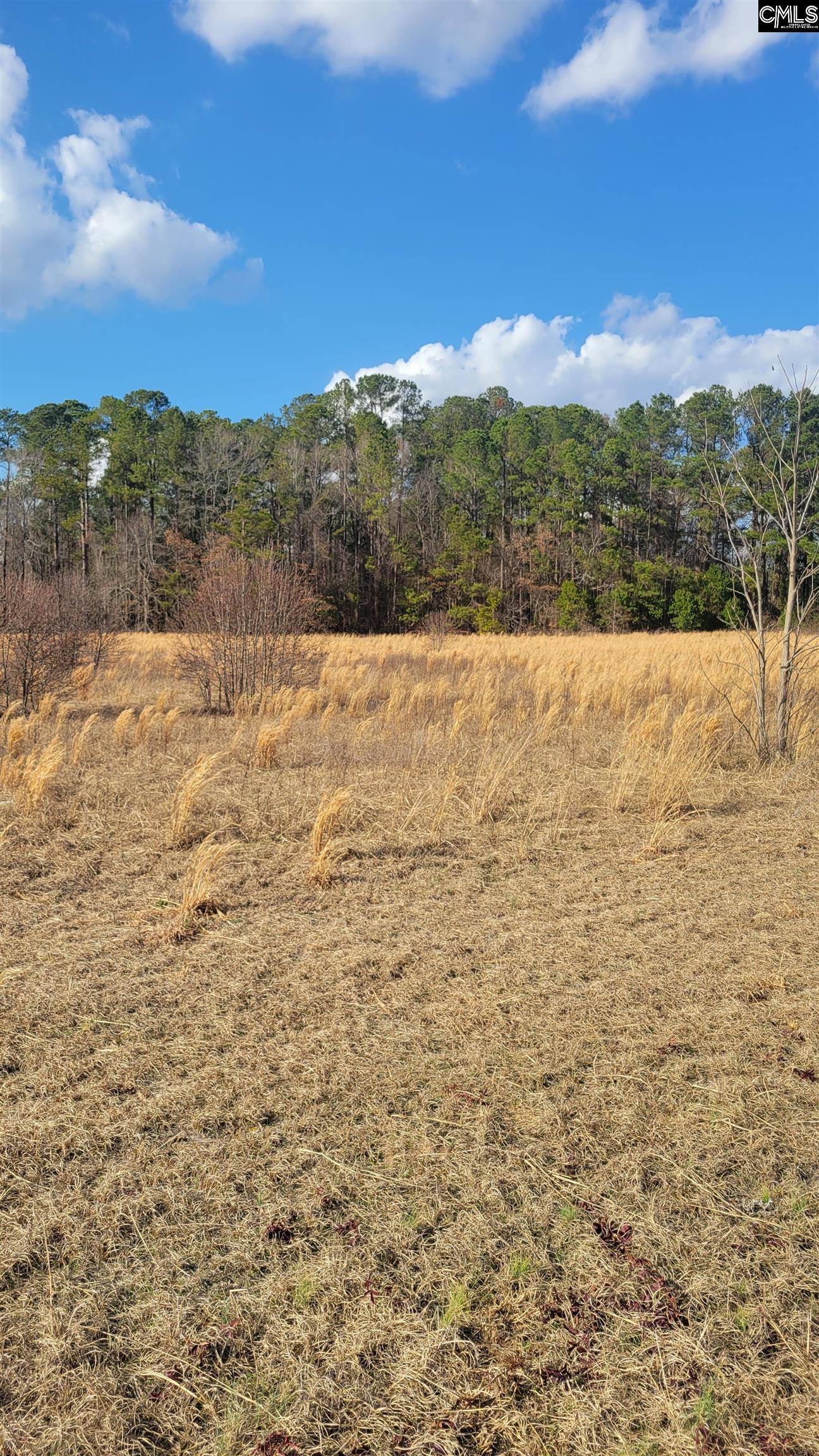 Gaston, SC 29053,0 Old Sandy Run Road
