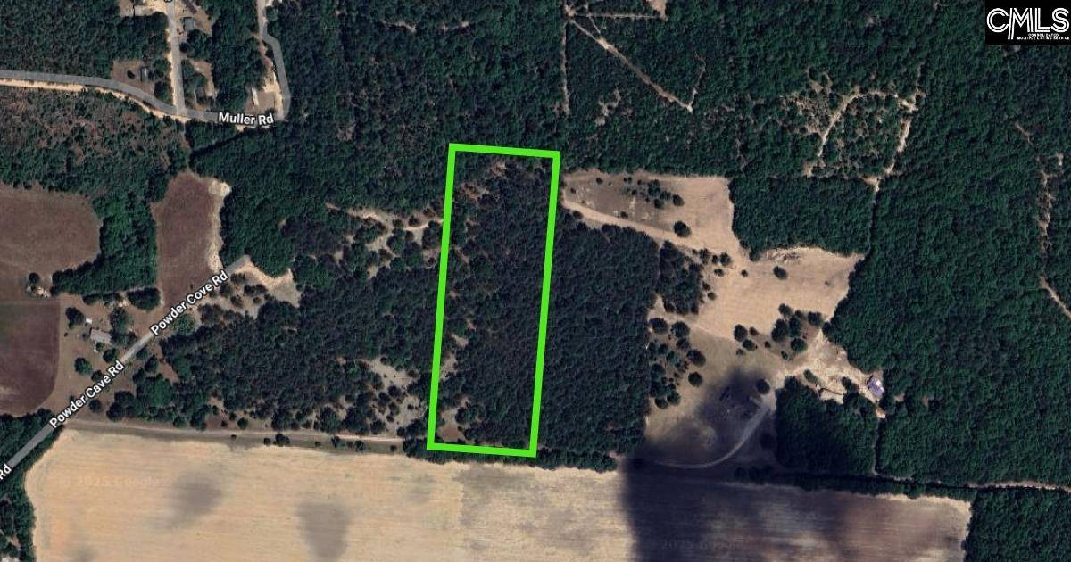 Swansea, SC 29160,Tract 4 Hwy 6