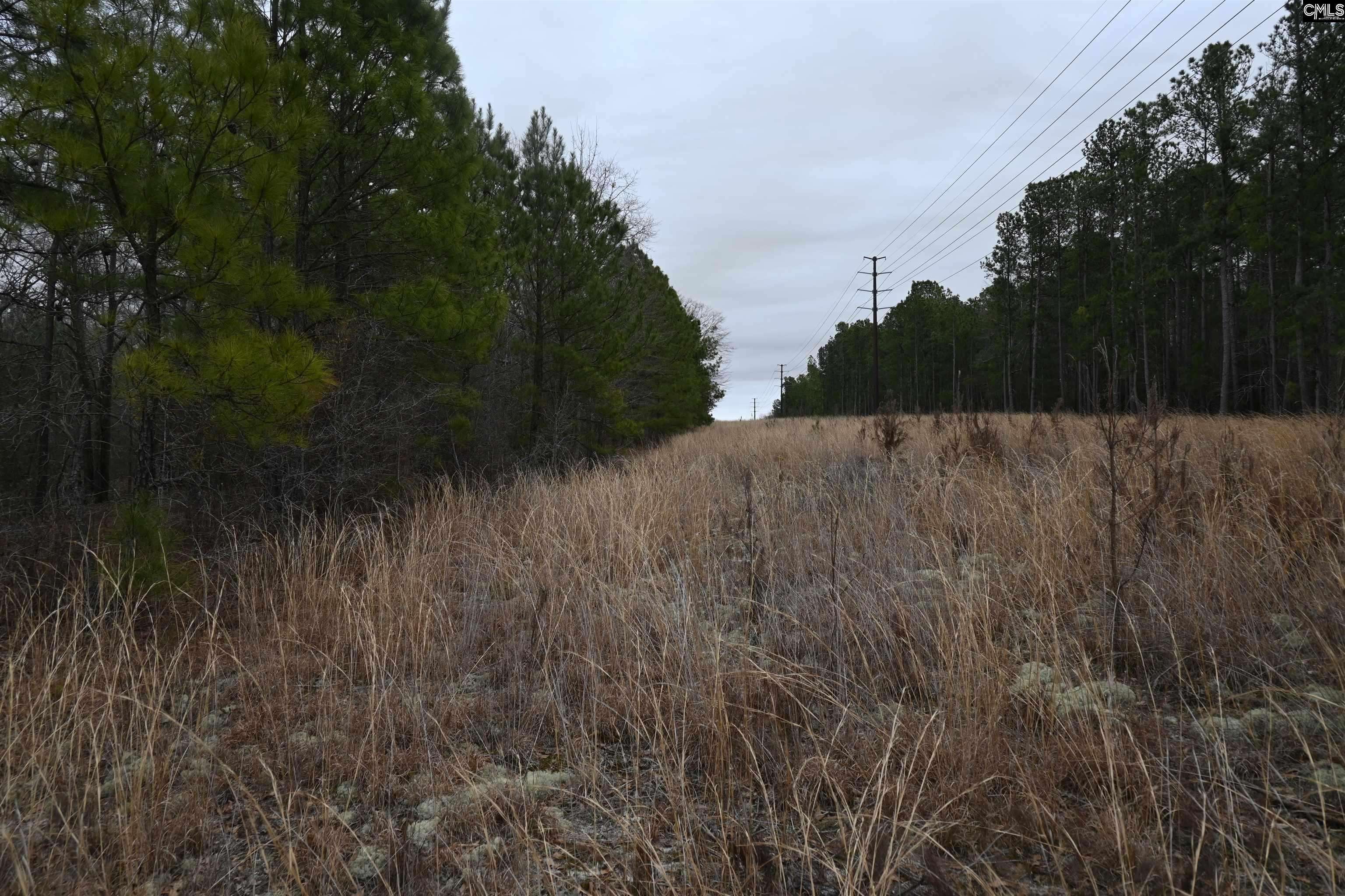 Ruby, SC 29741,TBD Lot C Hwy 109 S