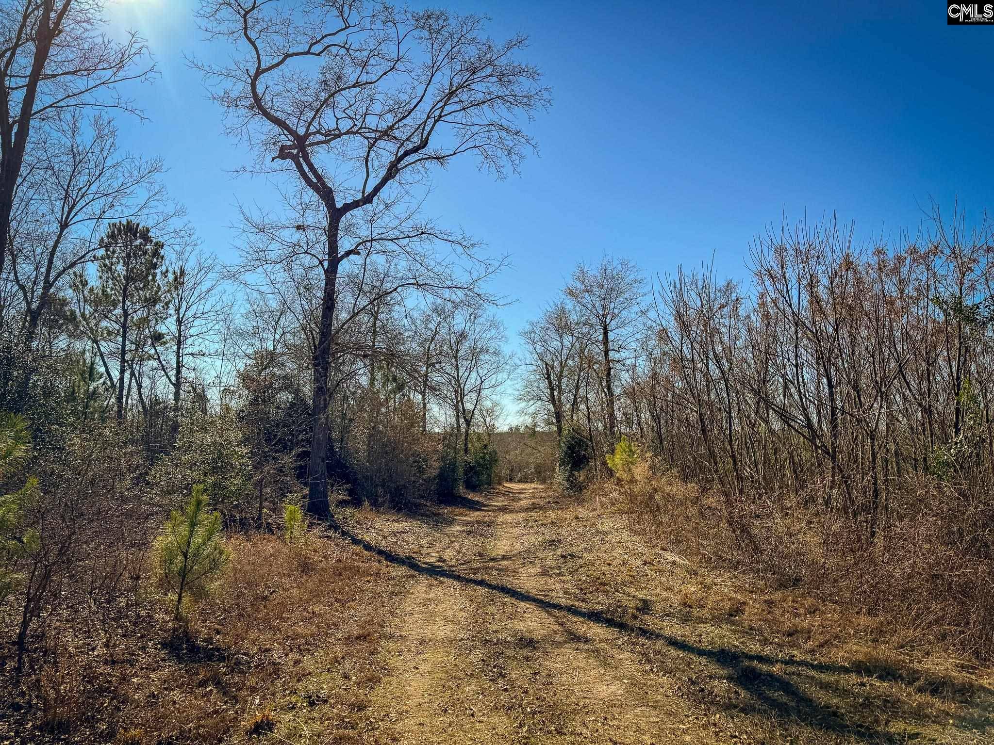 Leesville, SC 29070,0 Palomino Road Lot 8 #Lot 8