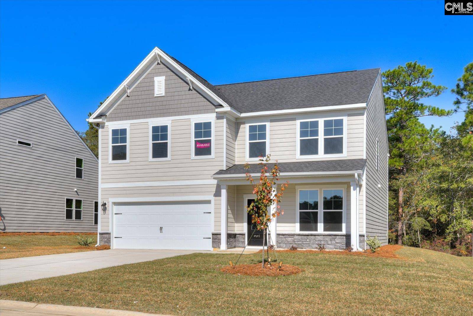Chapin, SC 29036,314 Chapin Place Way