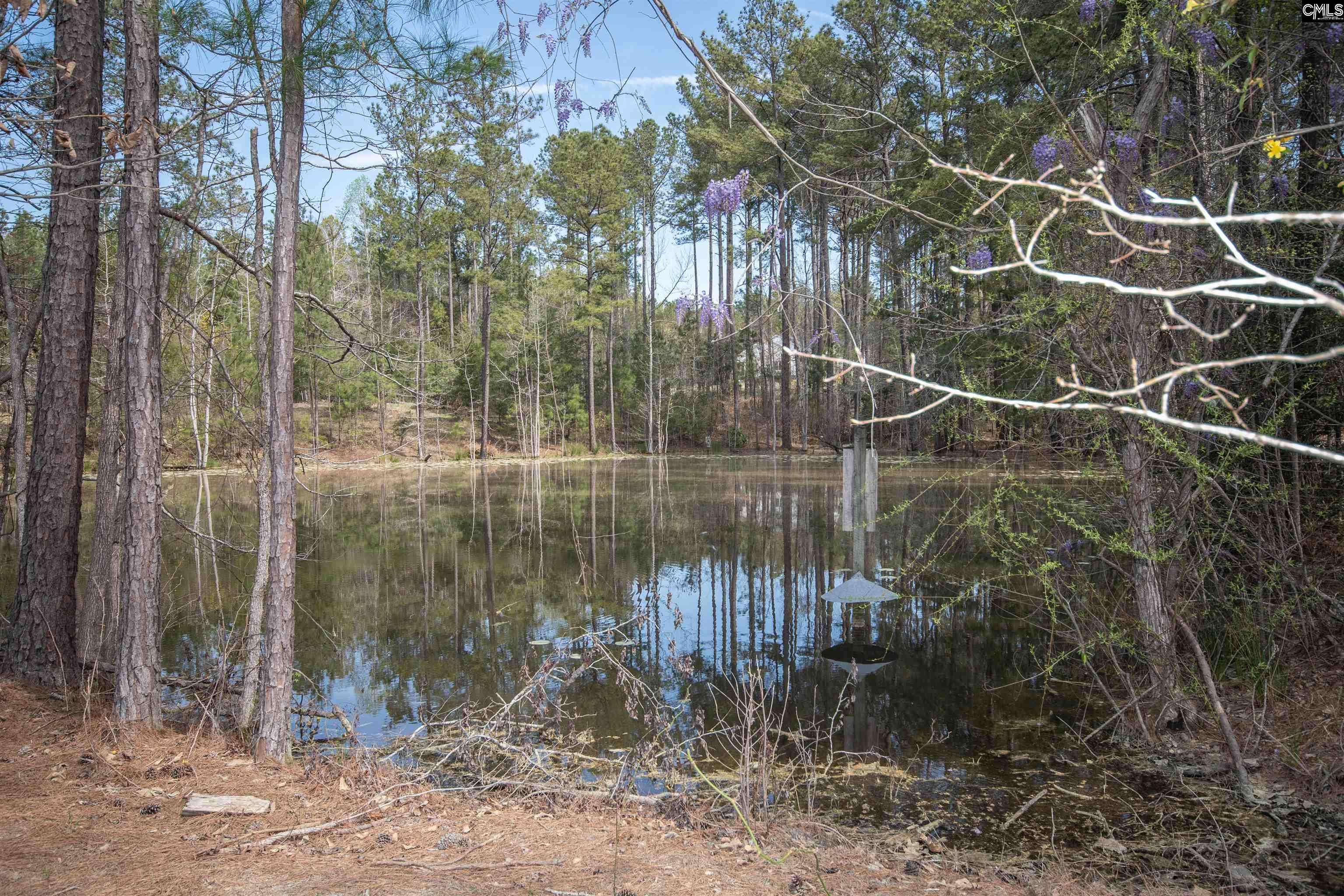 Chapin, SC 29036,0 Dan Comalander Drive