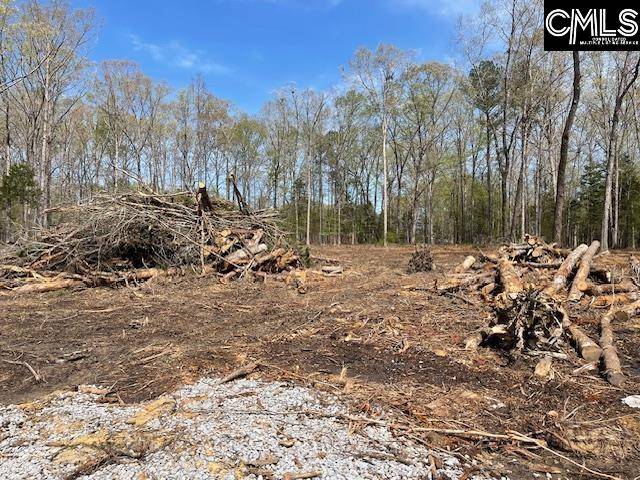 Chapin, SC 29036-0000,124 Lynch Lane