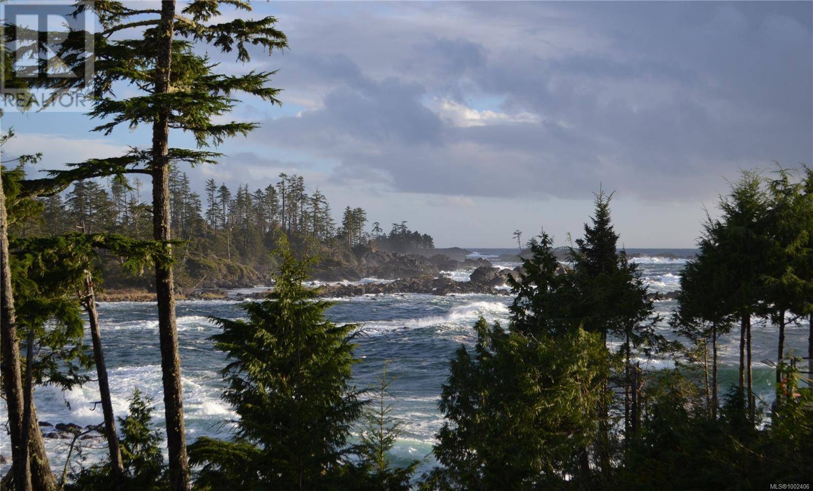 Ucluelet, BC V0R3A0,596 Marine DR #204