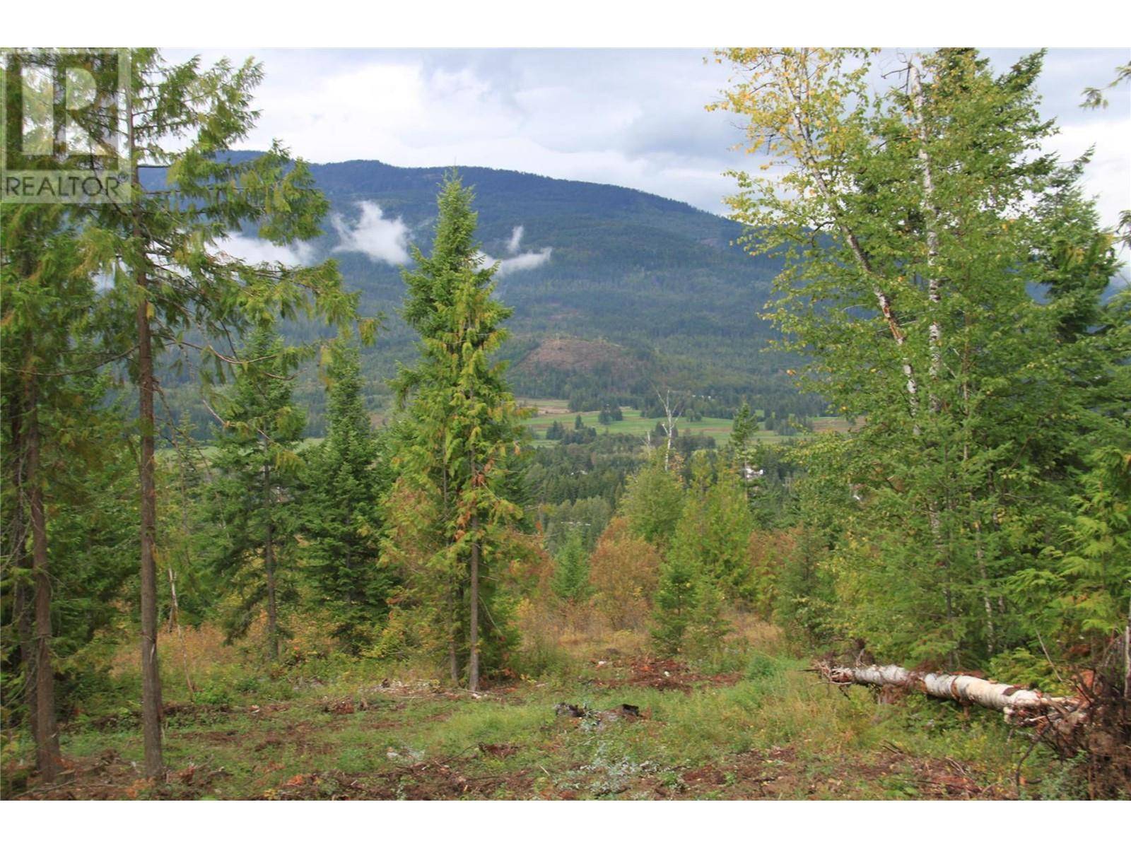 Salmon Arm, BC V1E2P8,Lot 1 Tatlow RD Southeast #PH4