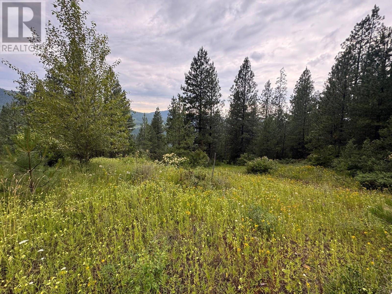 Lumby, BC V0E2G6,40 Acres Shuswap River Drive