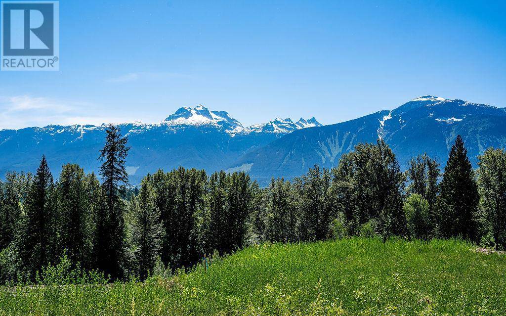 Revelstoke, BC V0E2S0,9 Proposed Lot #9 150 Townley Street