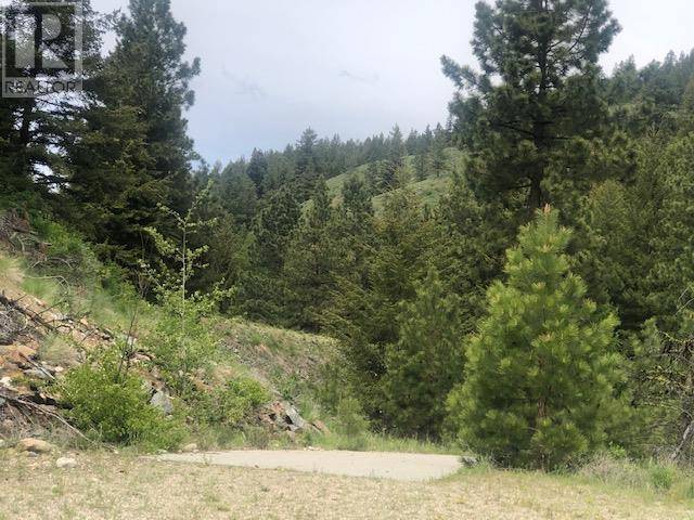 Osoyoos, BC V0H1V6,410 SASQUATCH Trail Lot# Lot 26