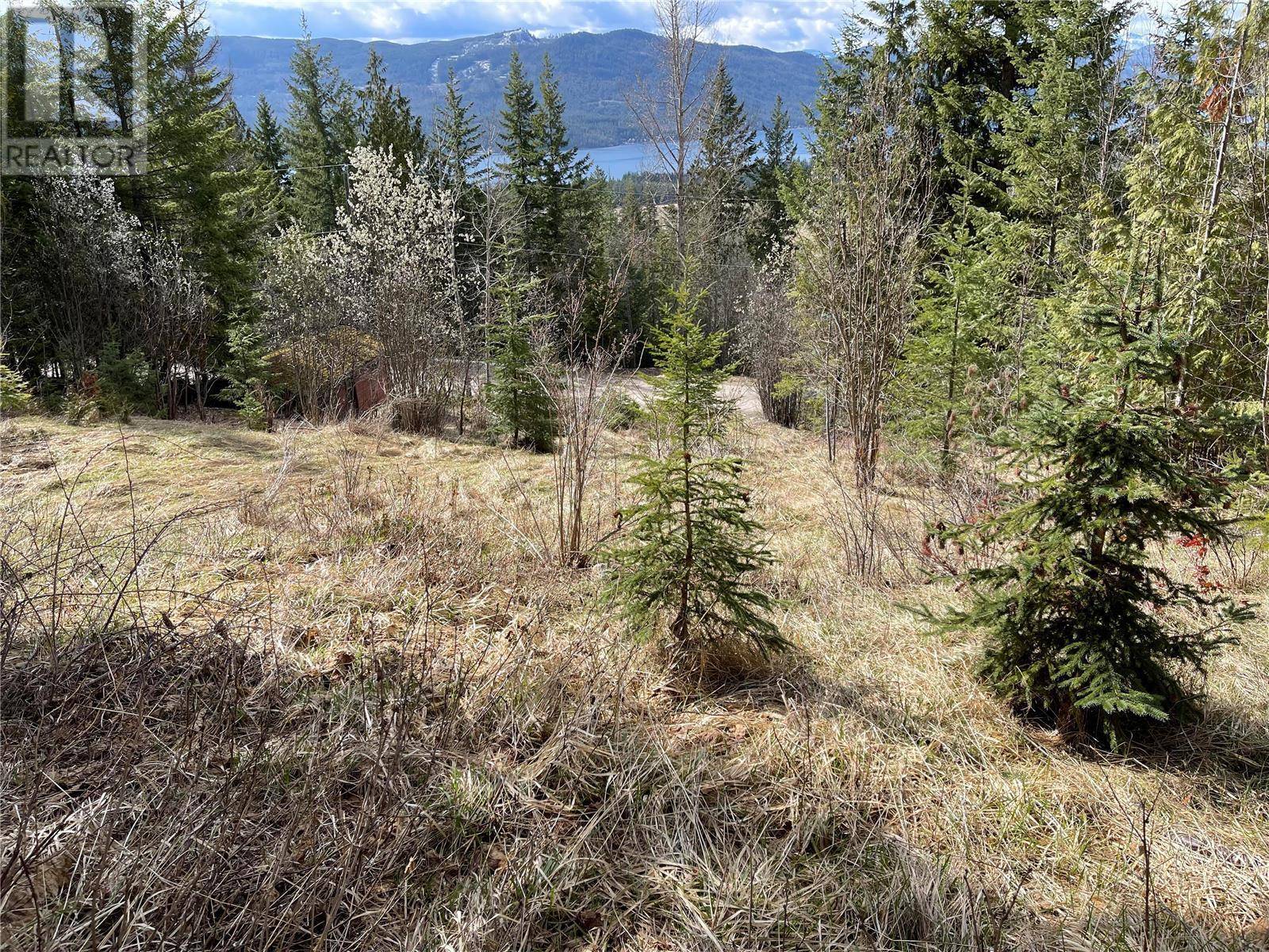 Anglemont, BC V0E1M8,Lot 397 Aspen Road