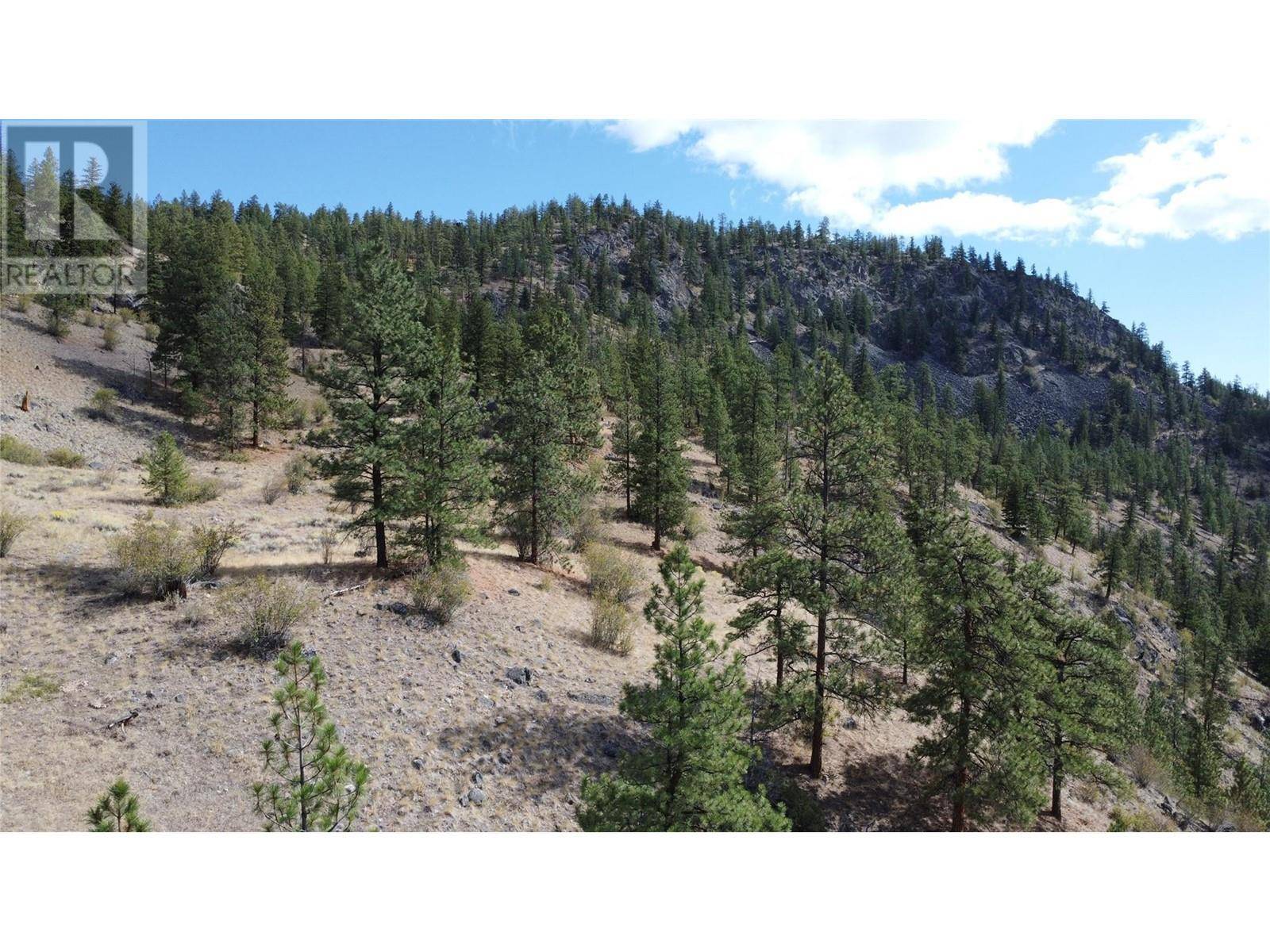 Summerland, BC V0H1Z8,Lot 2-8208 PRINCETON SUMMERLAND Road