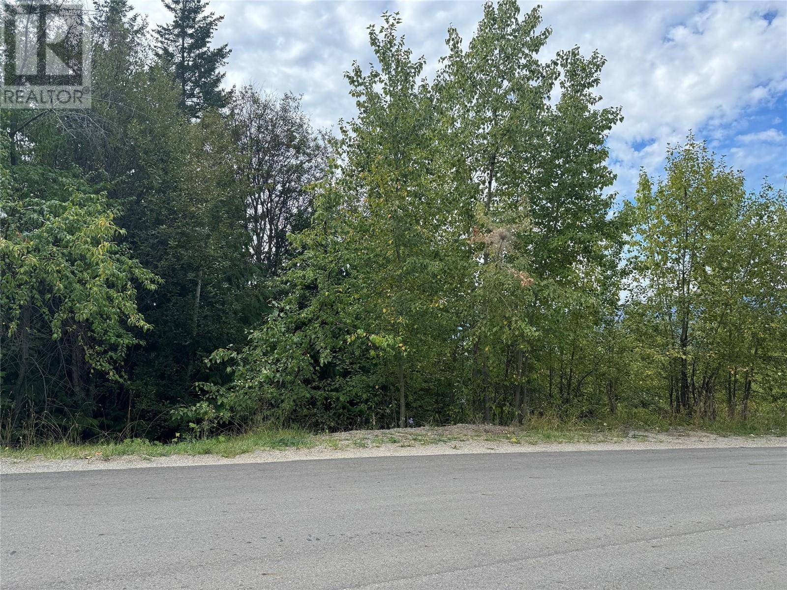 Anglemont, BC V0E1M8,Lot 389 Anglemont Way