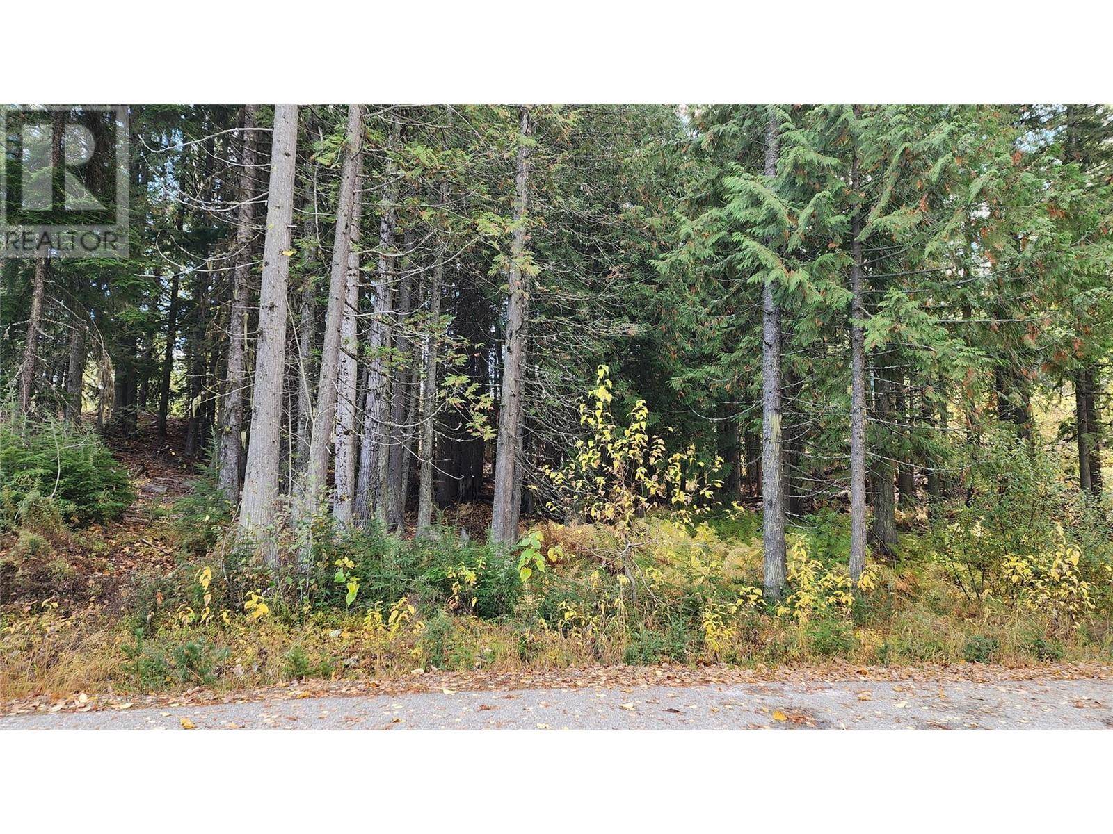Rossland, BC V0G1Y0,206 CEDAR CREEK Place