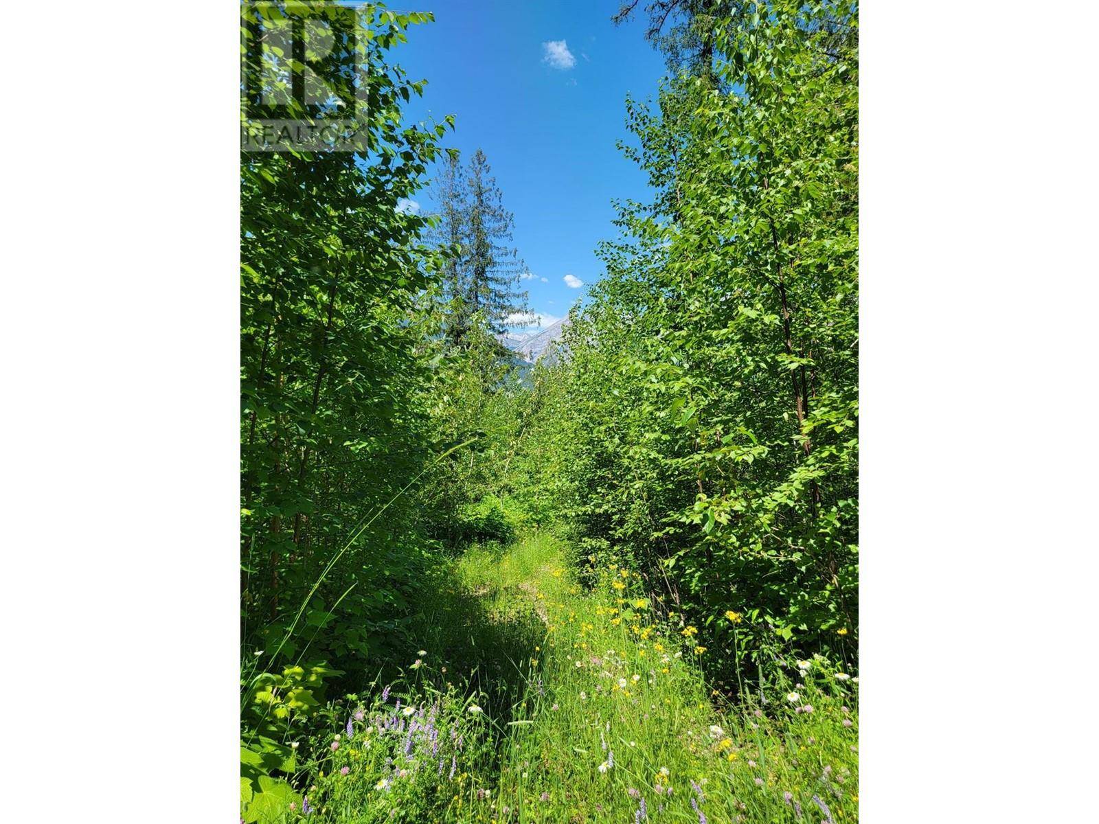 Fernie, BC V0B1M4,Lot 92 MONTANE PARKWAY Lot# Proposed