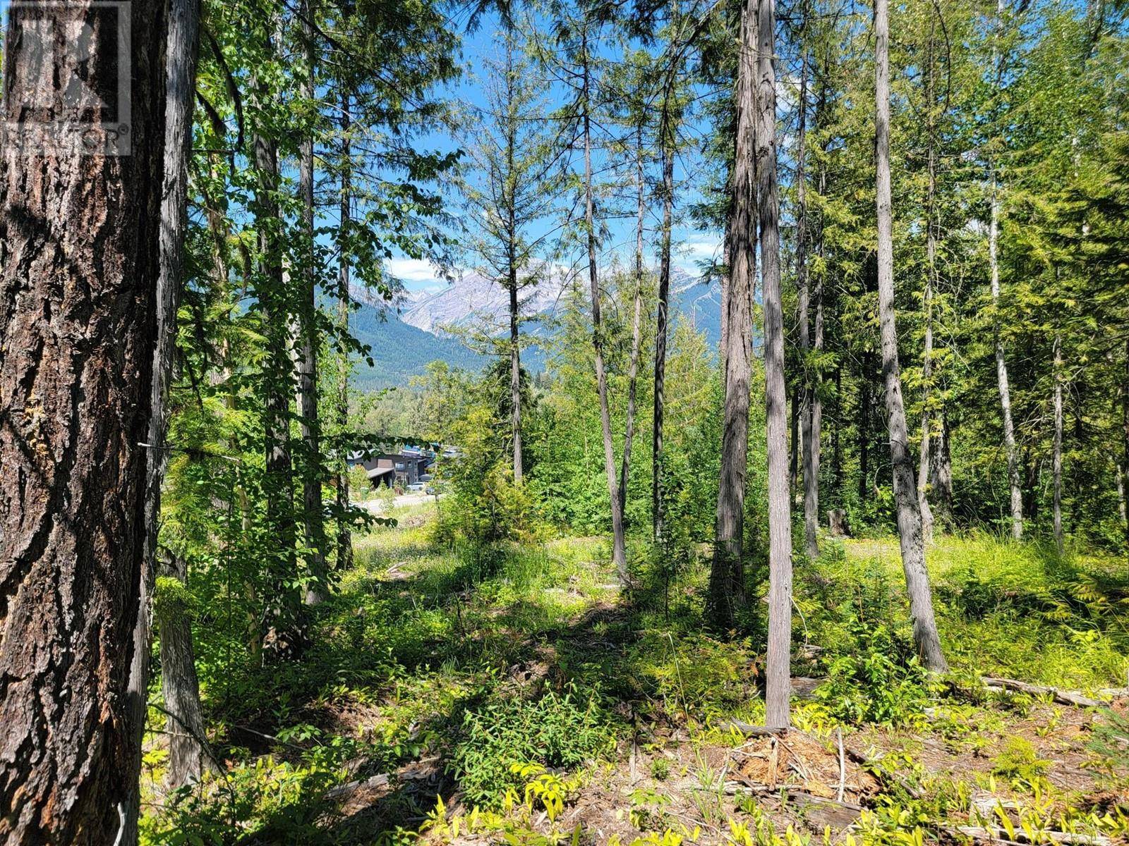 Fernie, BC V0B1M4,Lot 93 MONTANE PARKWAY Lot# Proposed