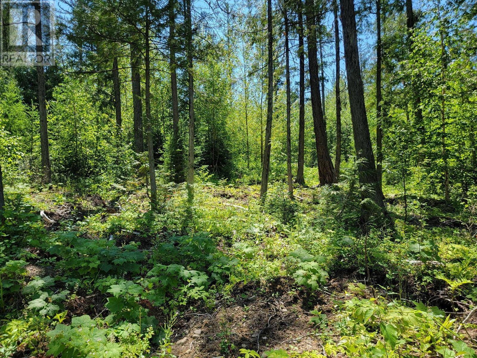 Fernie, BC V0B1M4,Lot 93 MONTANE PARKWAY Lot# Proposed