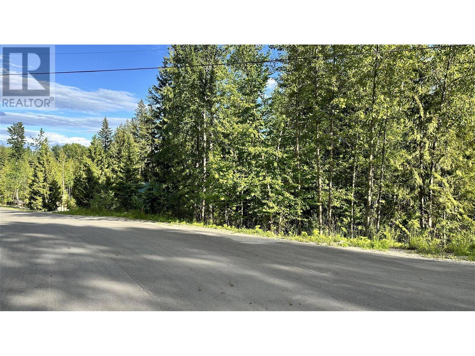 Anglemont, BC V0E1M8,Lot 157 Estate Place